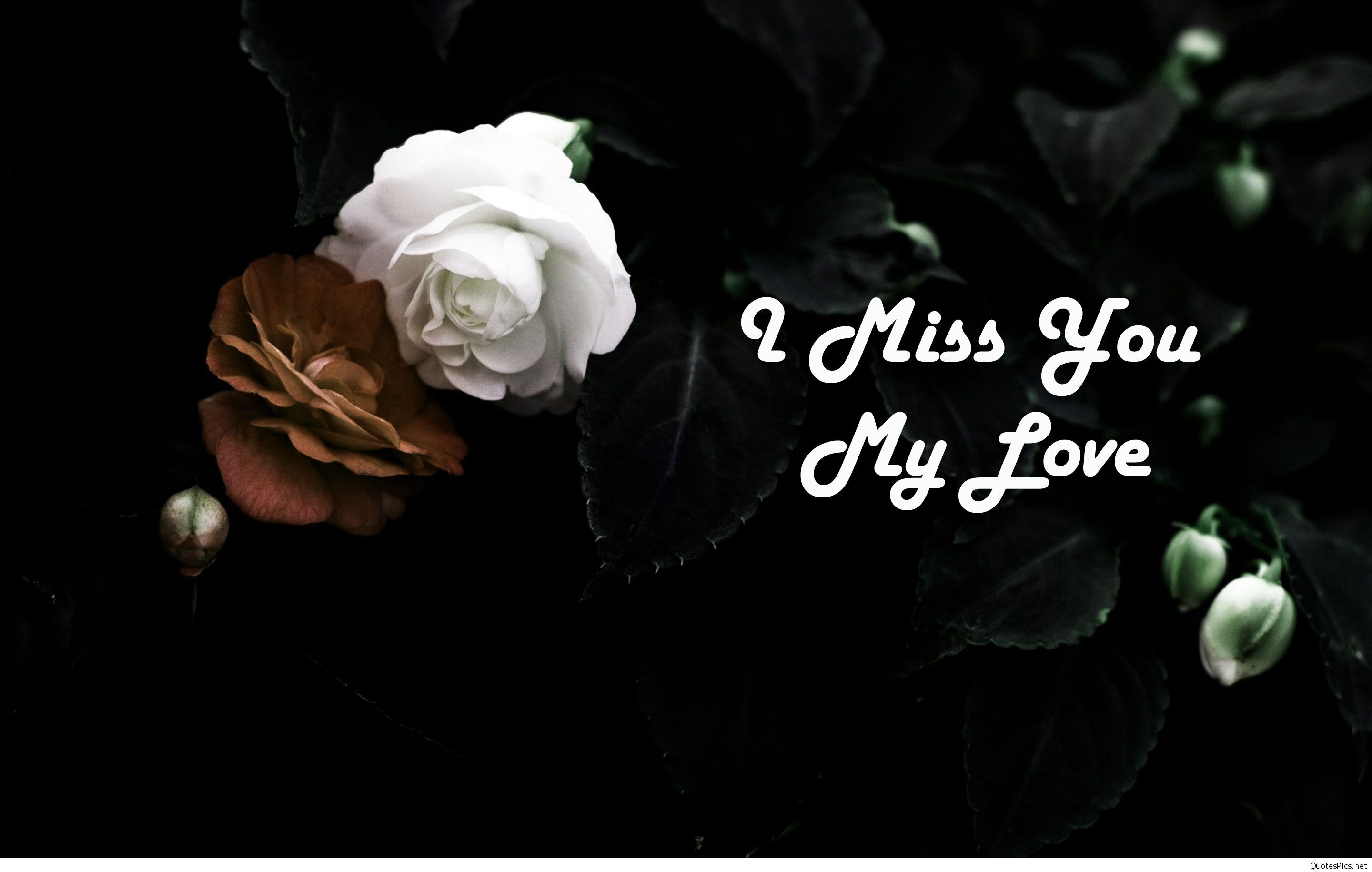 I miss you wallpaper picture 2017 2018. I miss you wallpaper, I