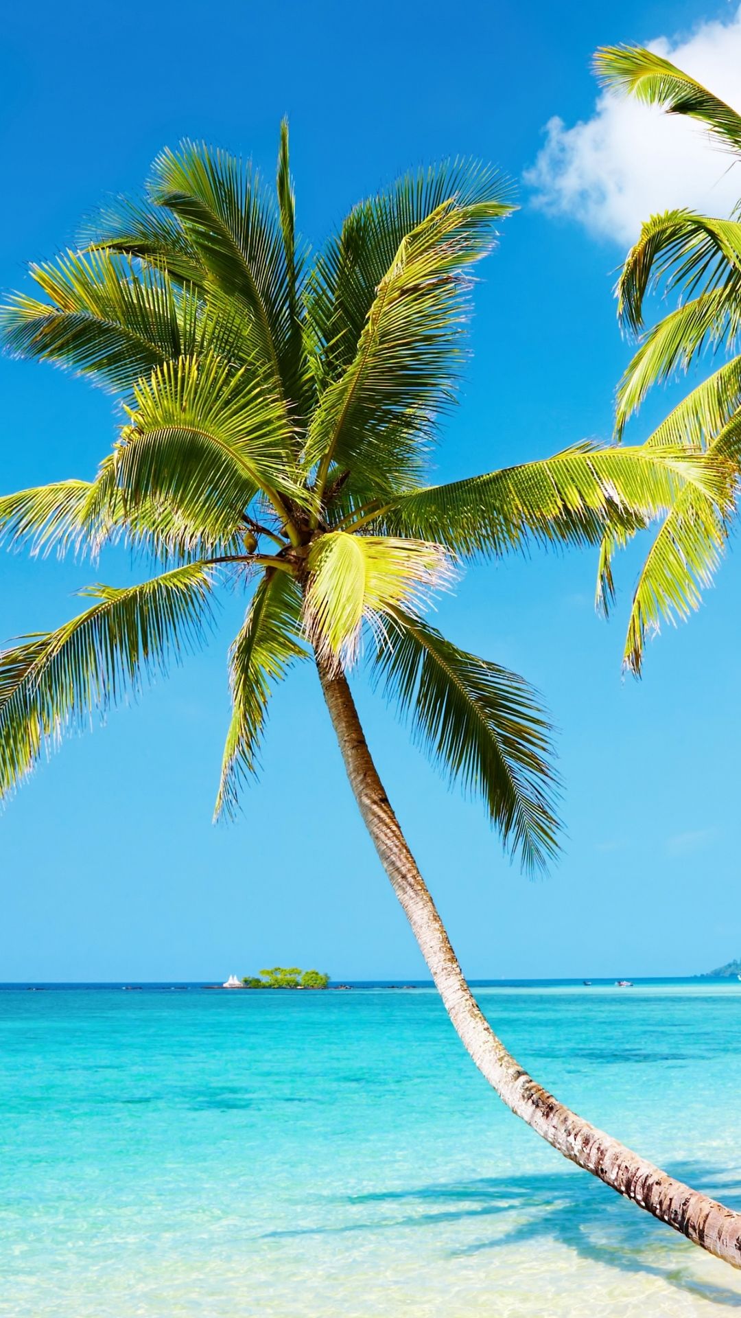 Free download Tropical beach 4K Ultra HD wallpaper 4k WallpaperNet