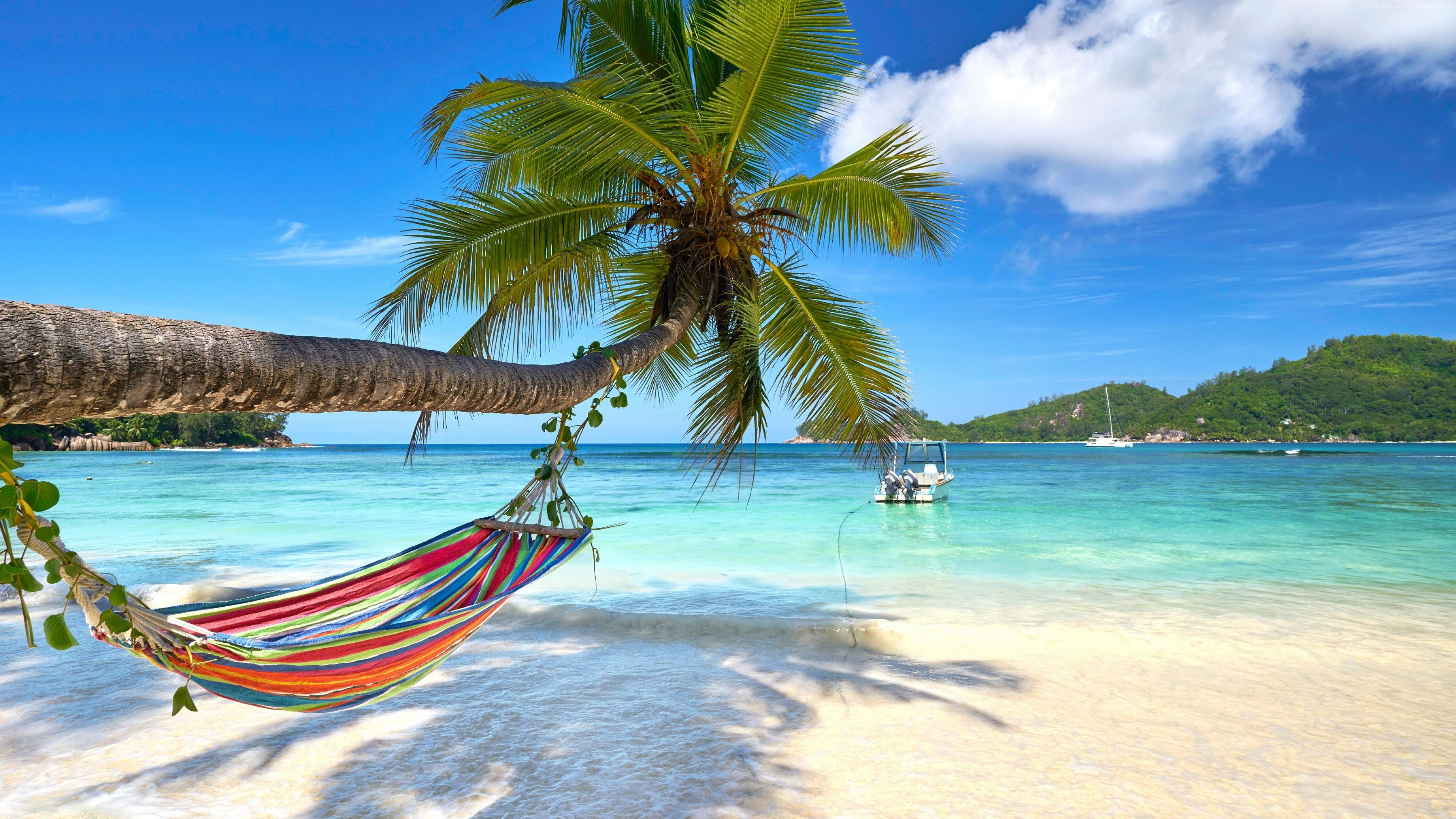 Wallpaper Turquoise, beach, palm, 4K, Travel Wallpaper Download