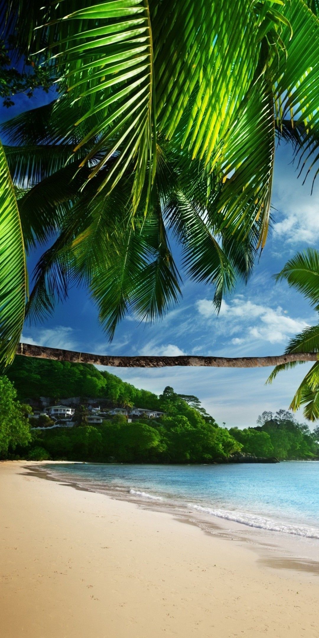 Tropical Beach Ultra HD Wallpaper [1080x2160]