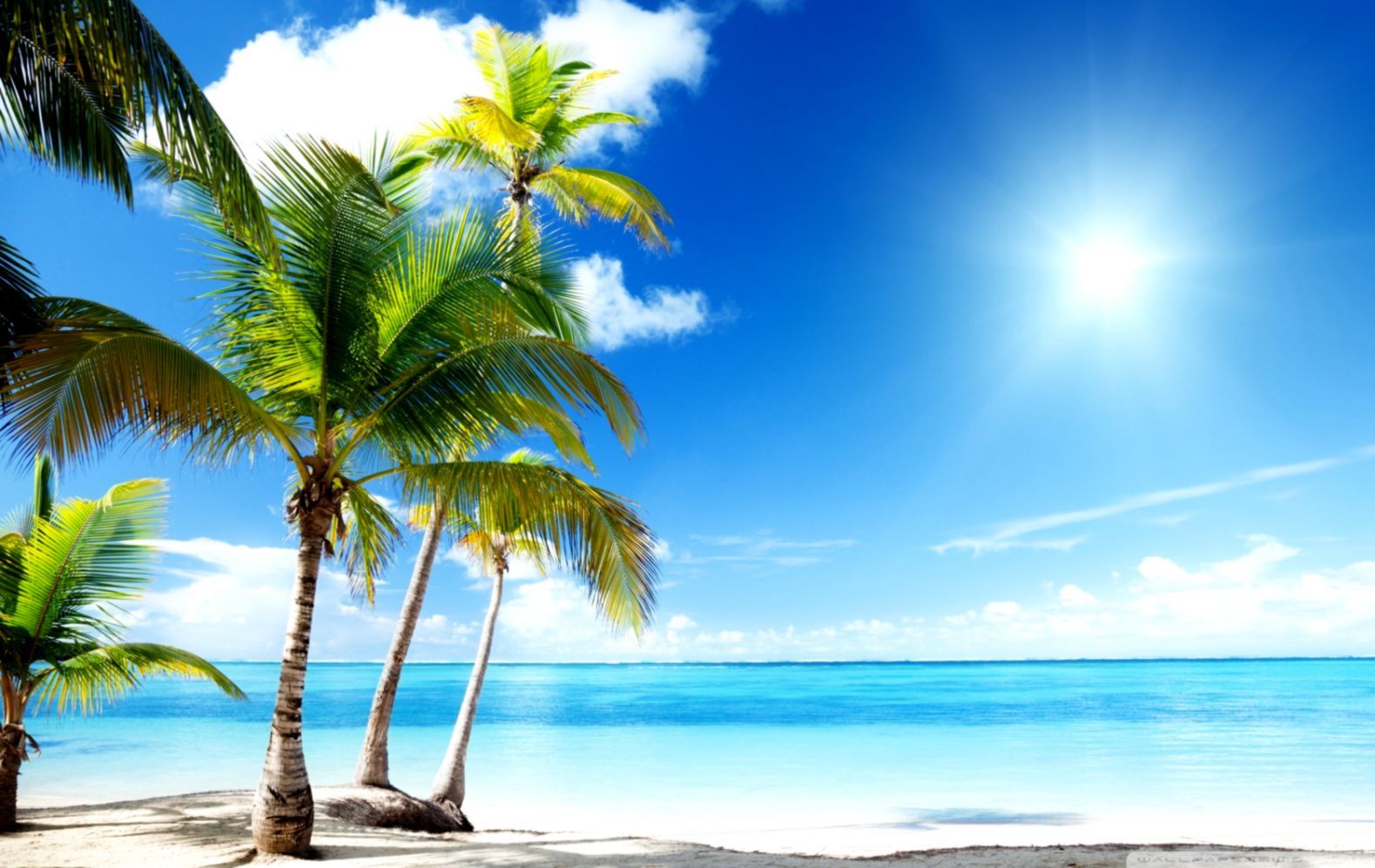Free Tropical Beach Wallpaper Desktop. Decor di Design