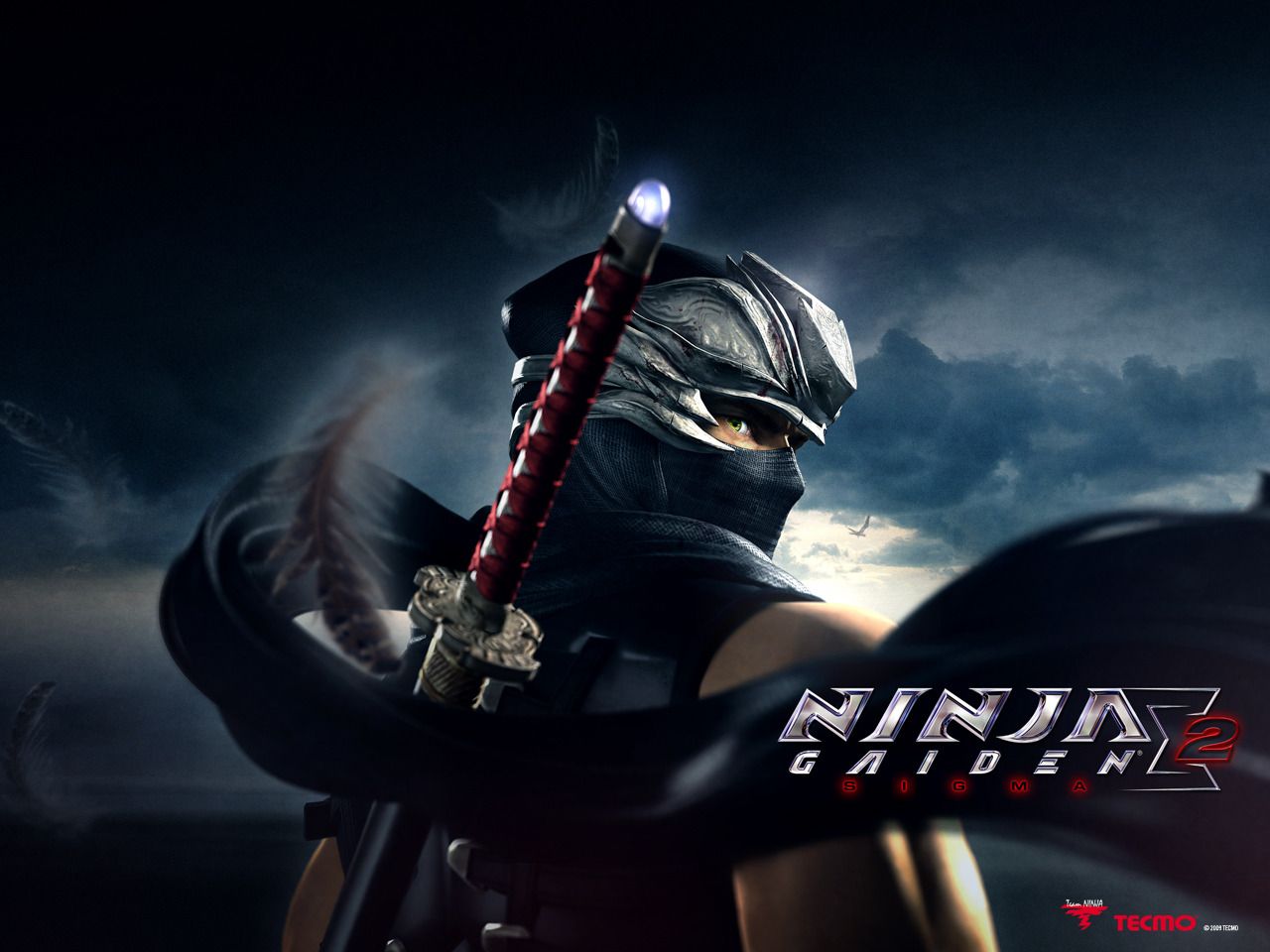 Cool Ninja Picture