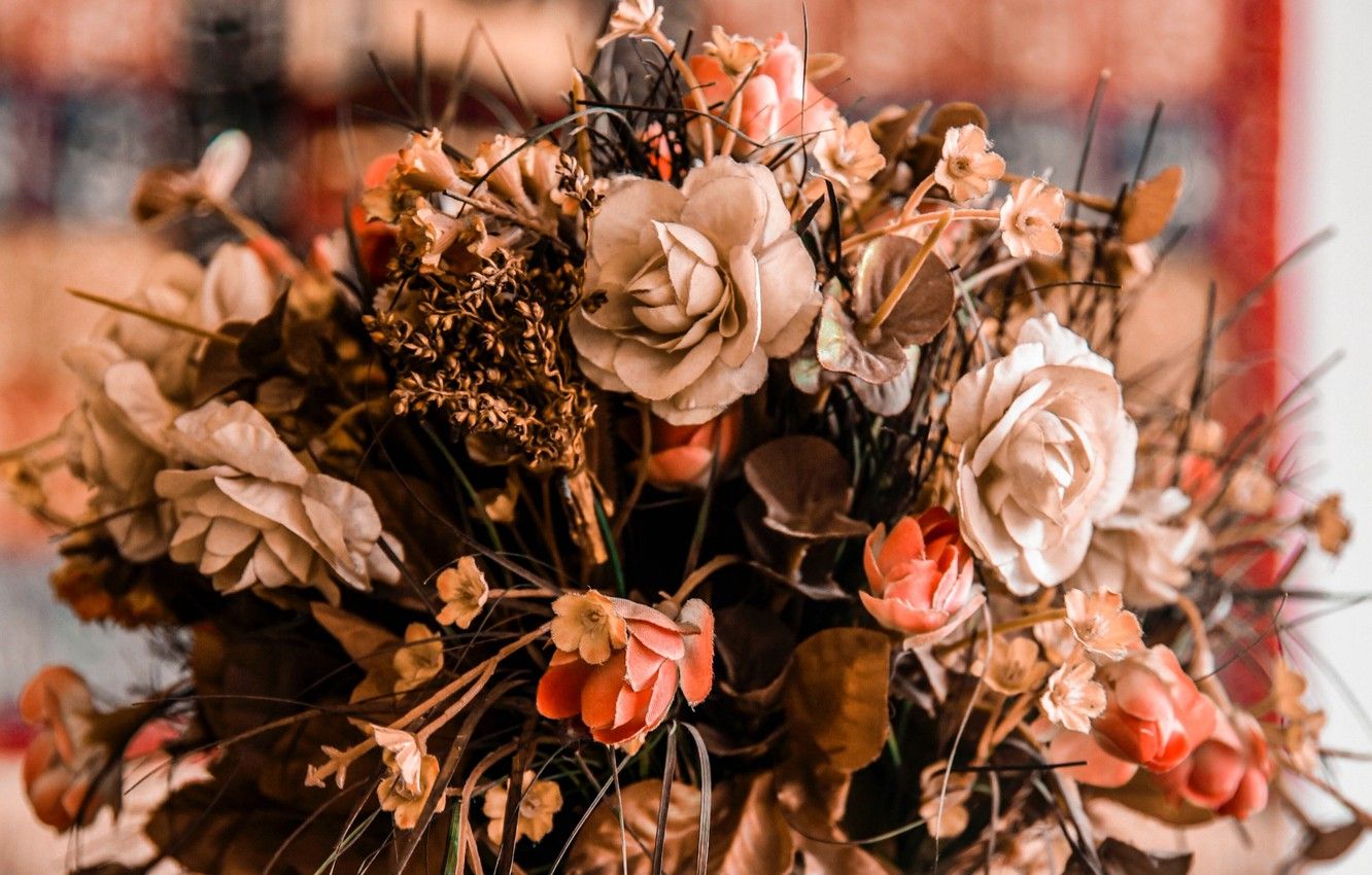 Flowers Bouquet Macro HD Wallpaper. Free HD Wallpaper