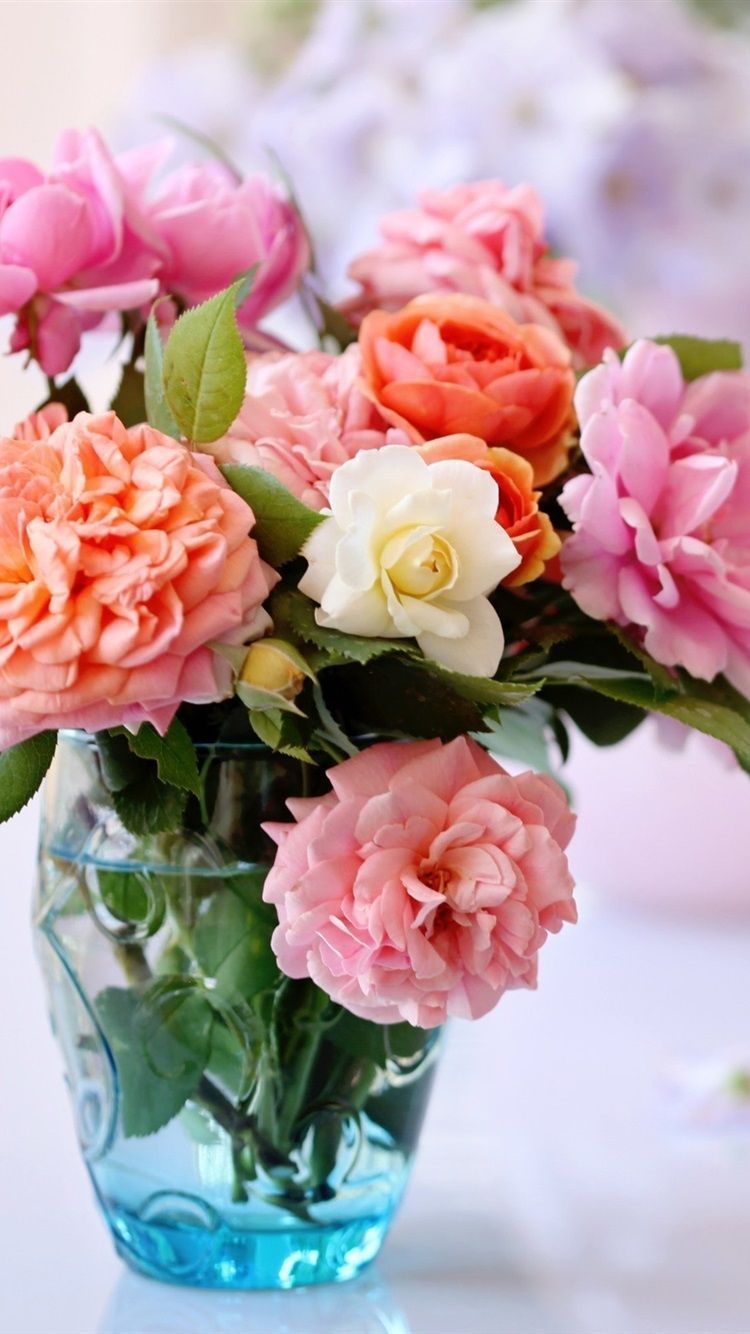 Desktop still life, roses, vase flower arrangement 750x1334 iPhone