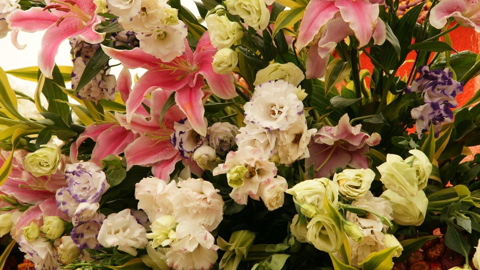 Free download flower arrangement with pink Stargazer and tropical