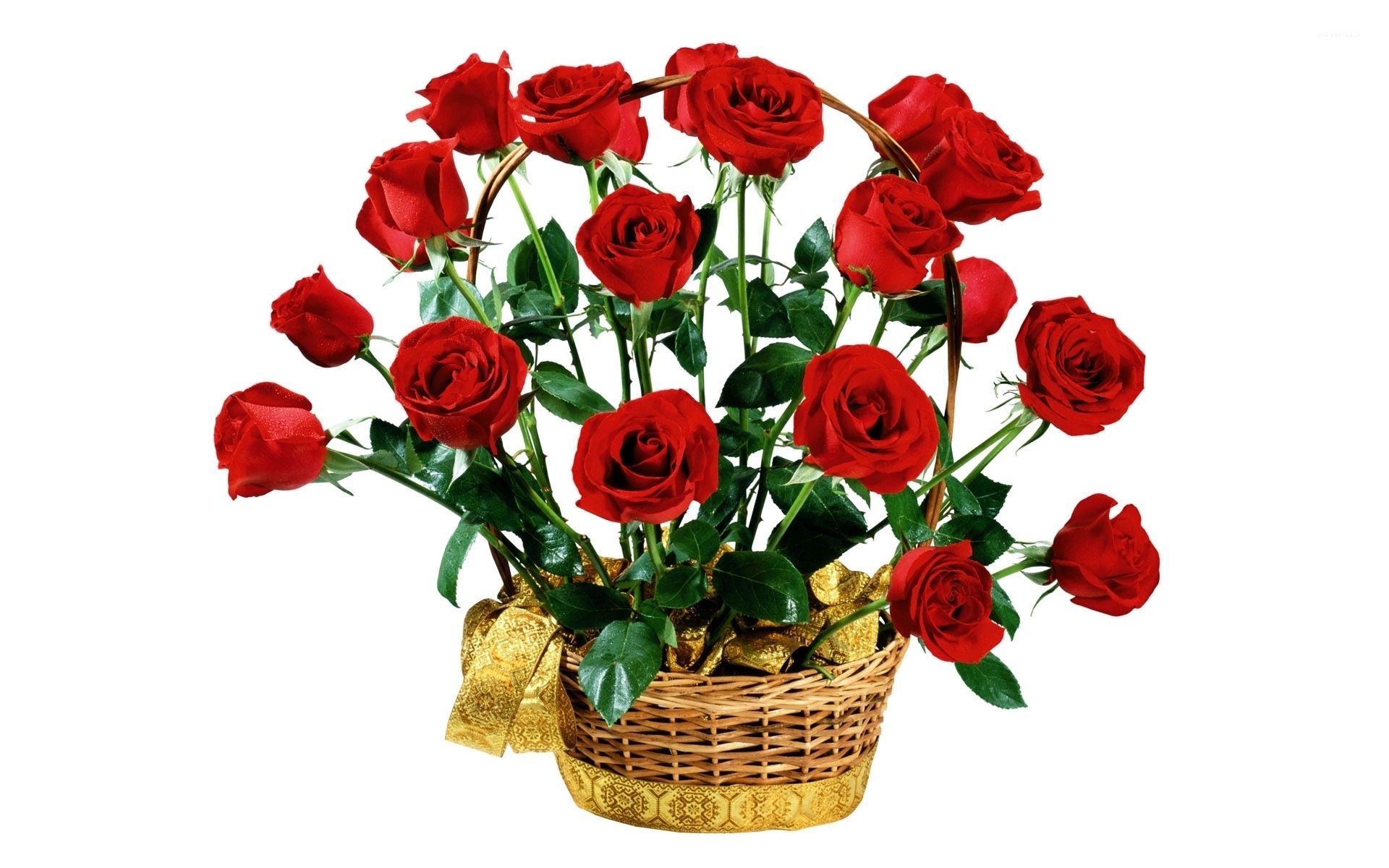 Red rose arrangement wallpaper wallpaper