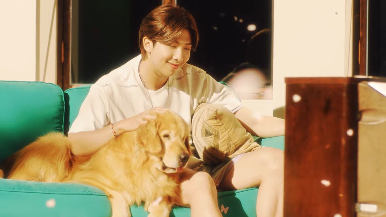 Things You Might Have Missed In BTS's Stay Gold MV