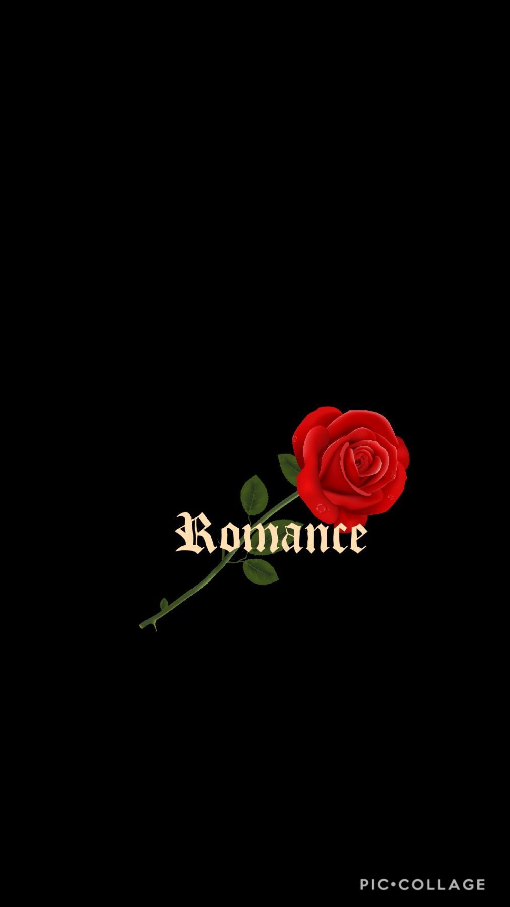 romantic photo album