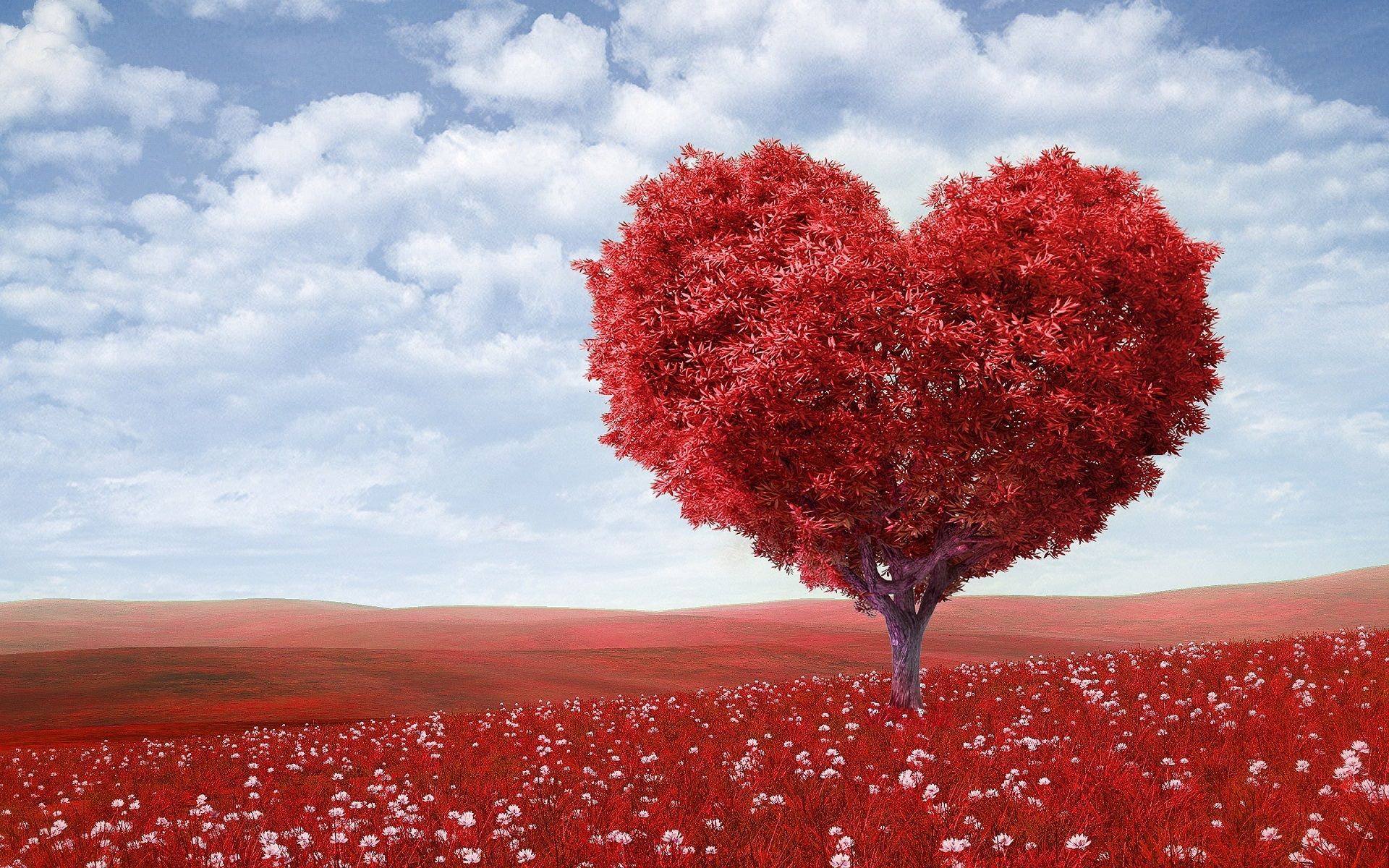 Heart Red Leafed Tree on Red Field · Free