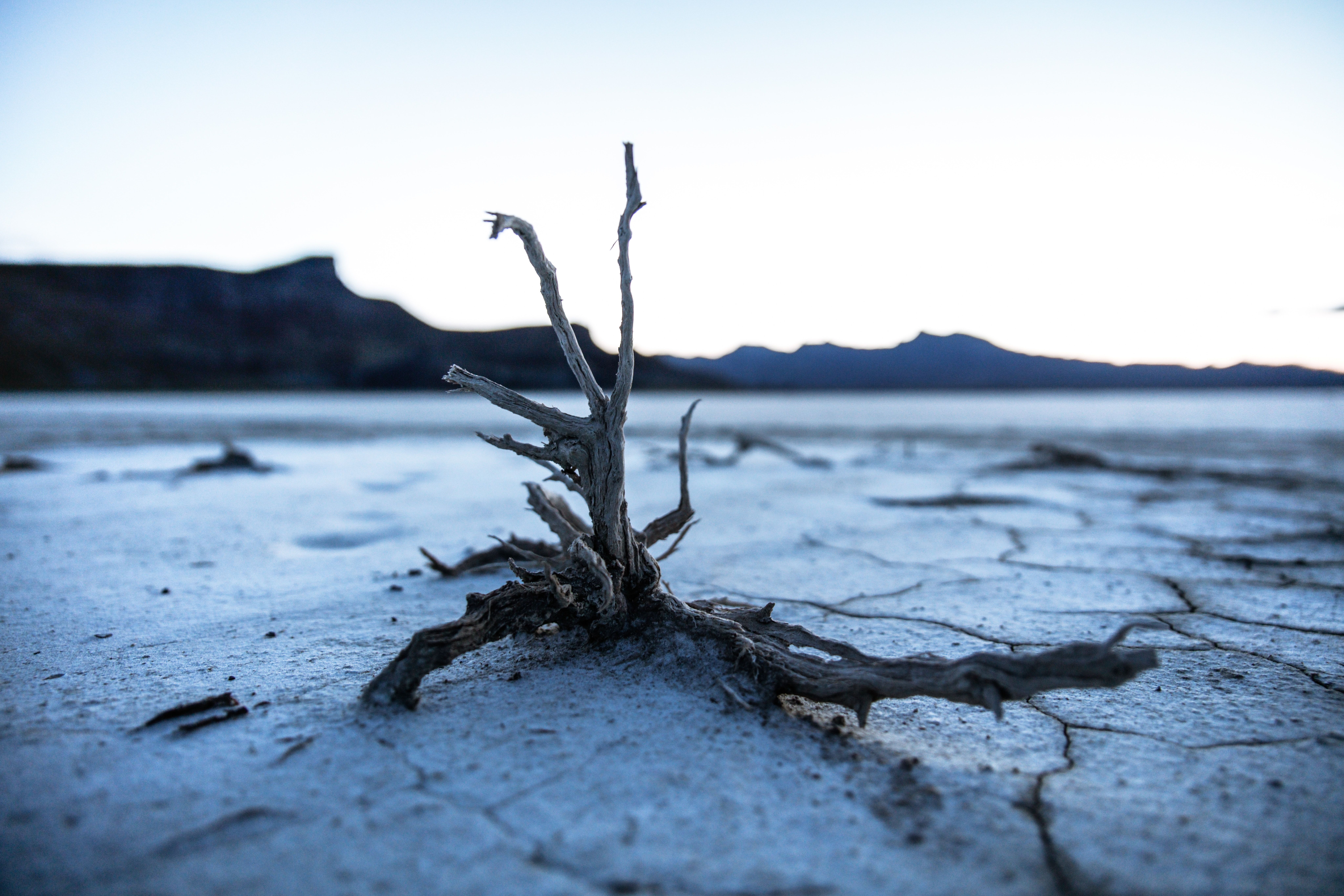 8688x5792 #river bed, #nature, #apocalypse, #derelict