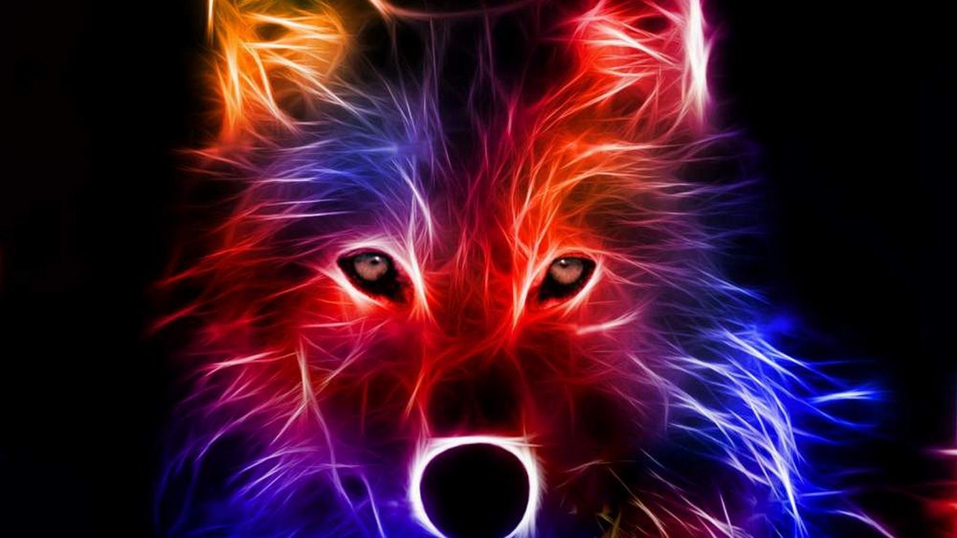 Rainbow Wolf Wallpapers Wallpaper Cave