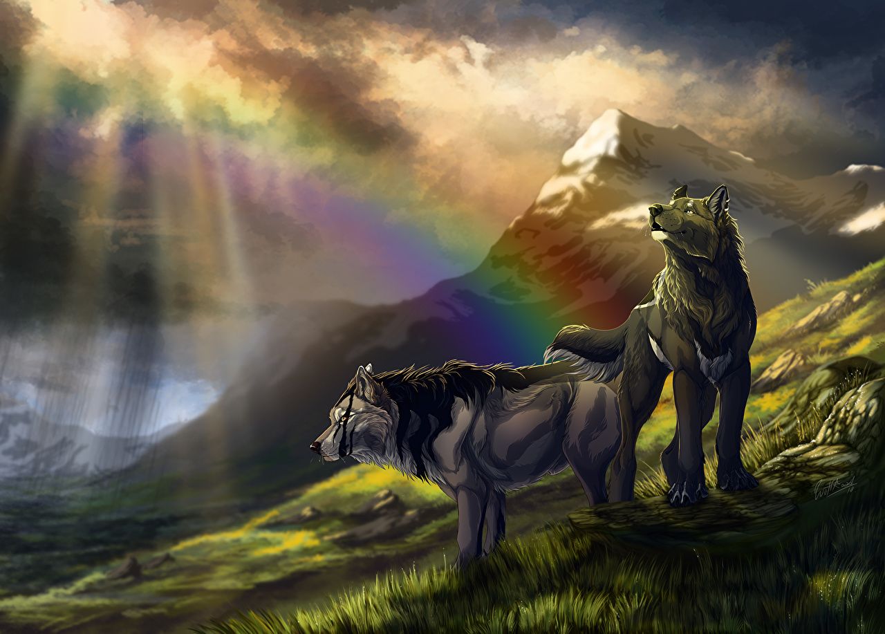 Picture wolf Two Fantasy Rainbow Mountains