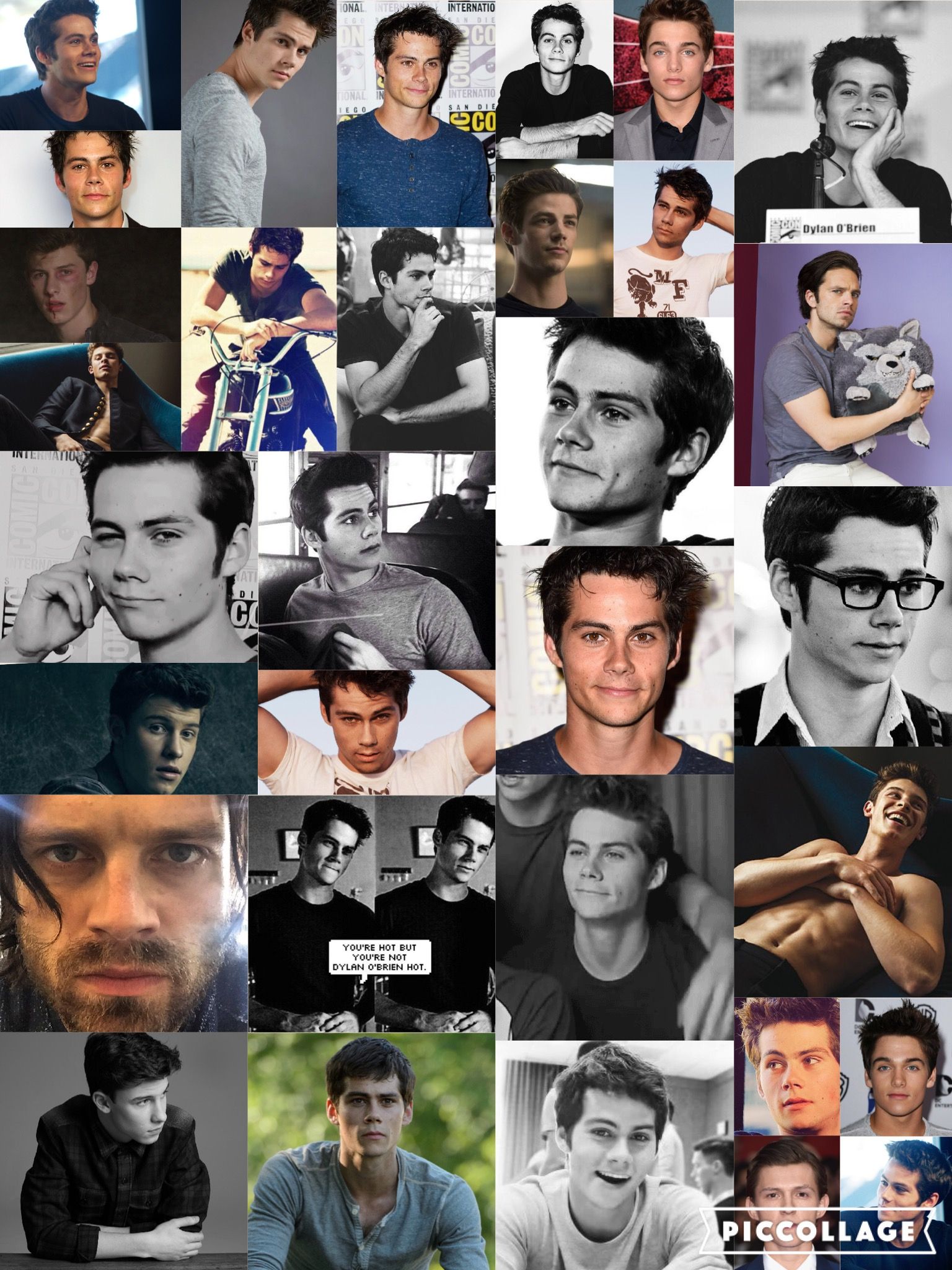 Bae Wallpaper. Dylan O'Brien, Shawn Mendes, Sebastian Stan, Dylan Sprayberry, Tom Holland and Grant Gustin. Sebastian stan, Dylan o'brien, Shawn mendes