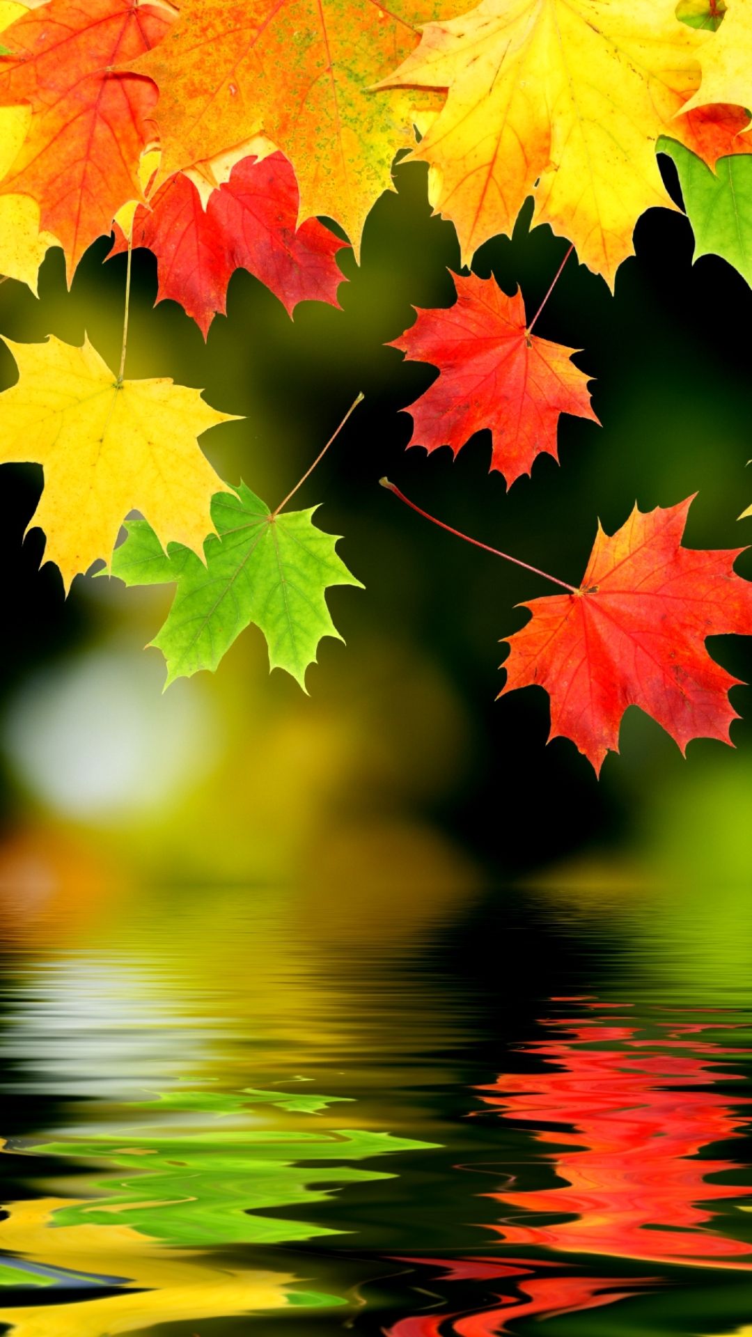 fall iphone backgrounds wallpaper.wiki fall iphone image free