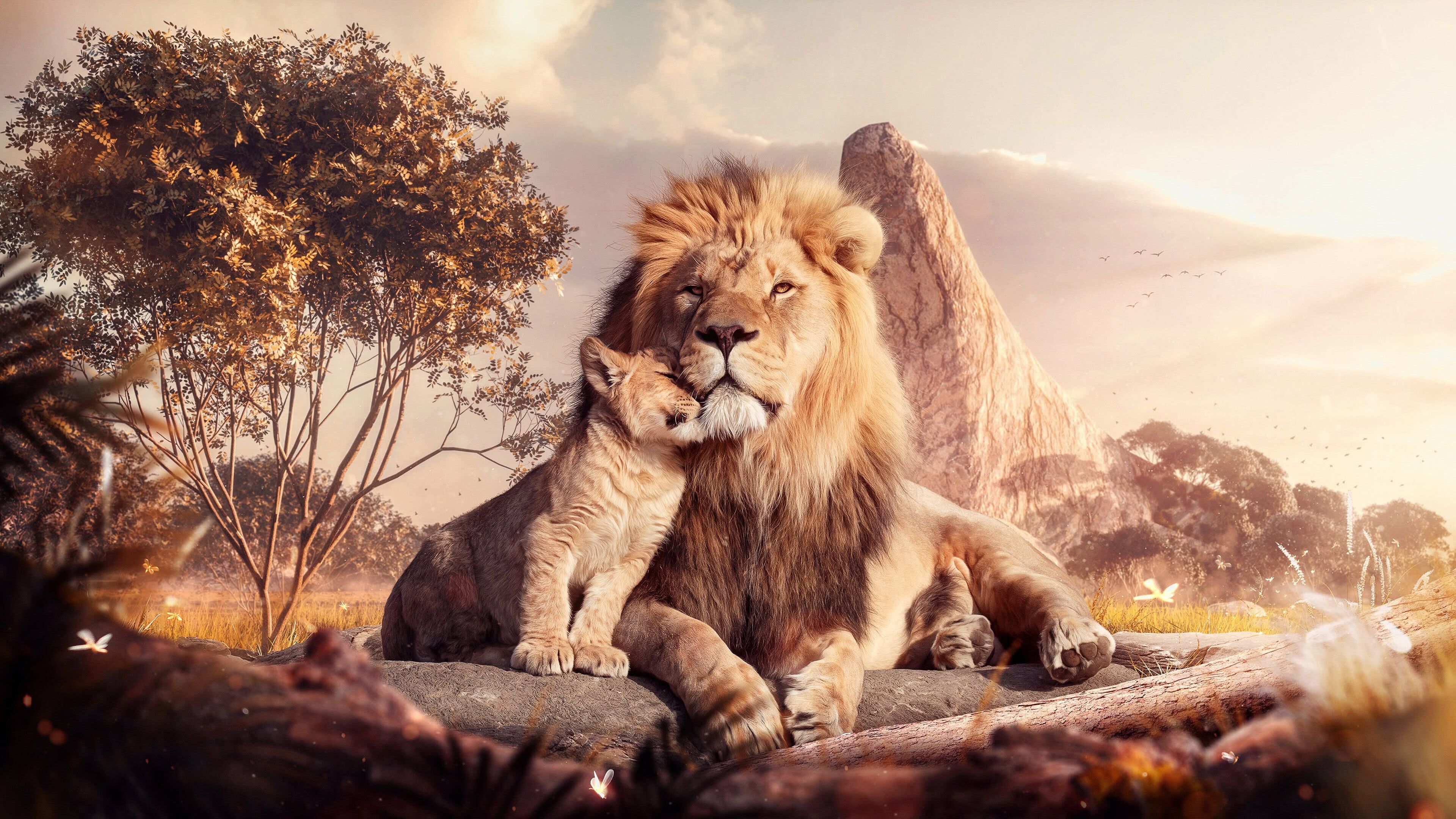 Lion And Cub UHD 4K Wallpapers