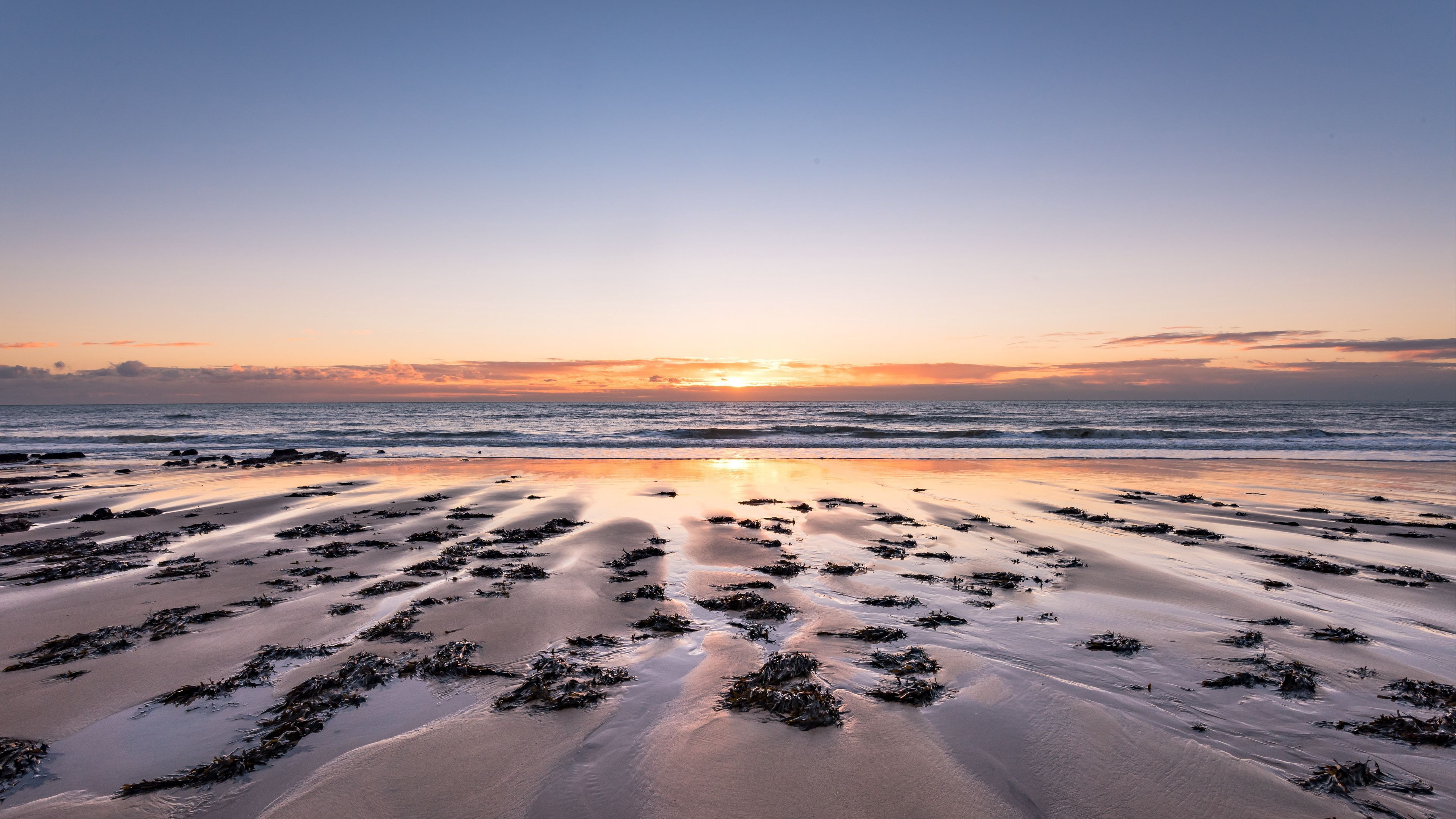 Beach HD Wallpaper & Background