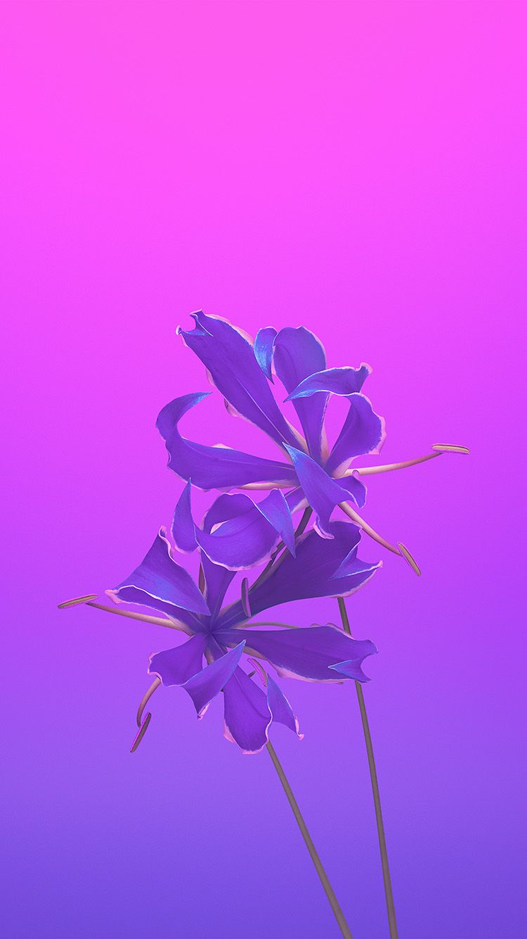Apple Ios11 Iphonex Flower Art Illustration Purple
