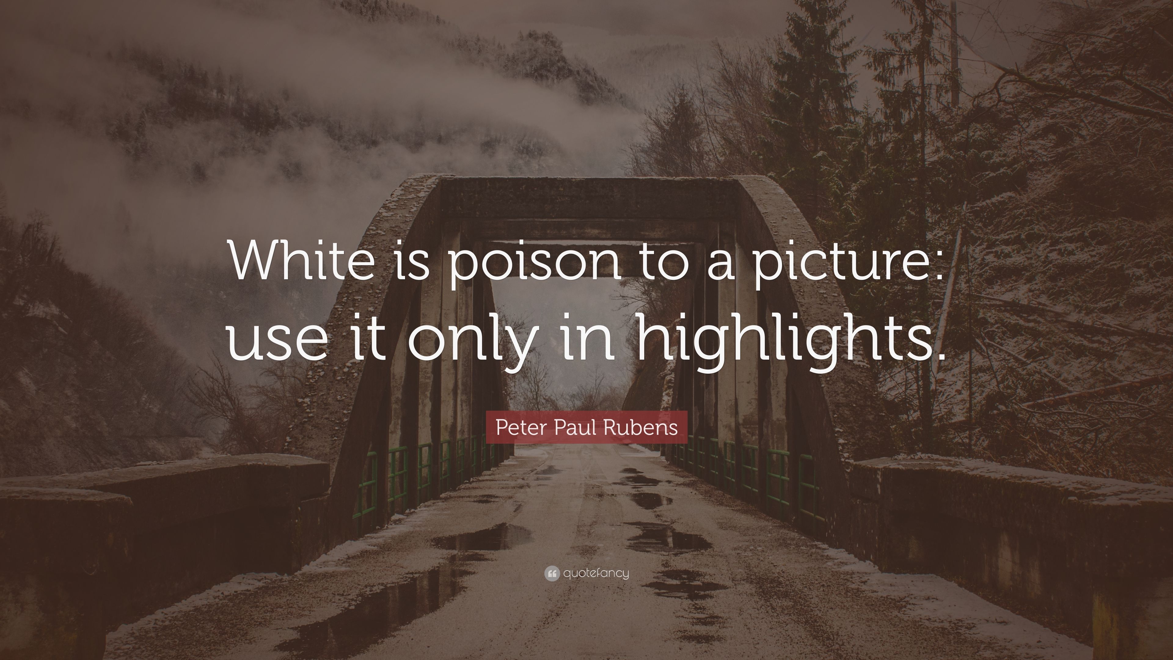 Peter Paul Rubens Quote: “White is poison to a picture: use it