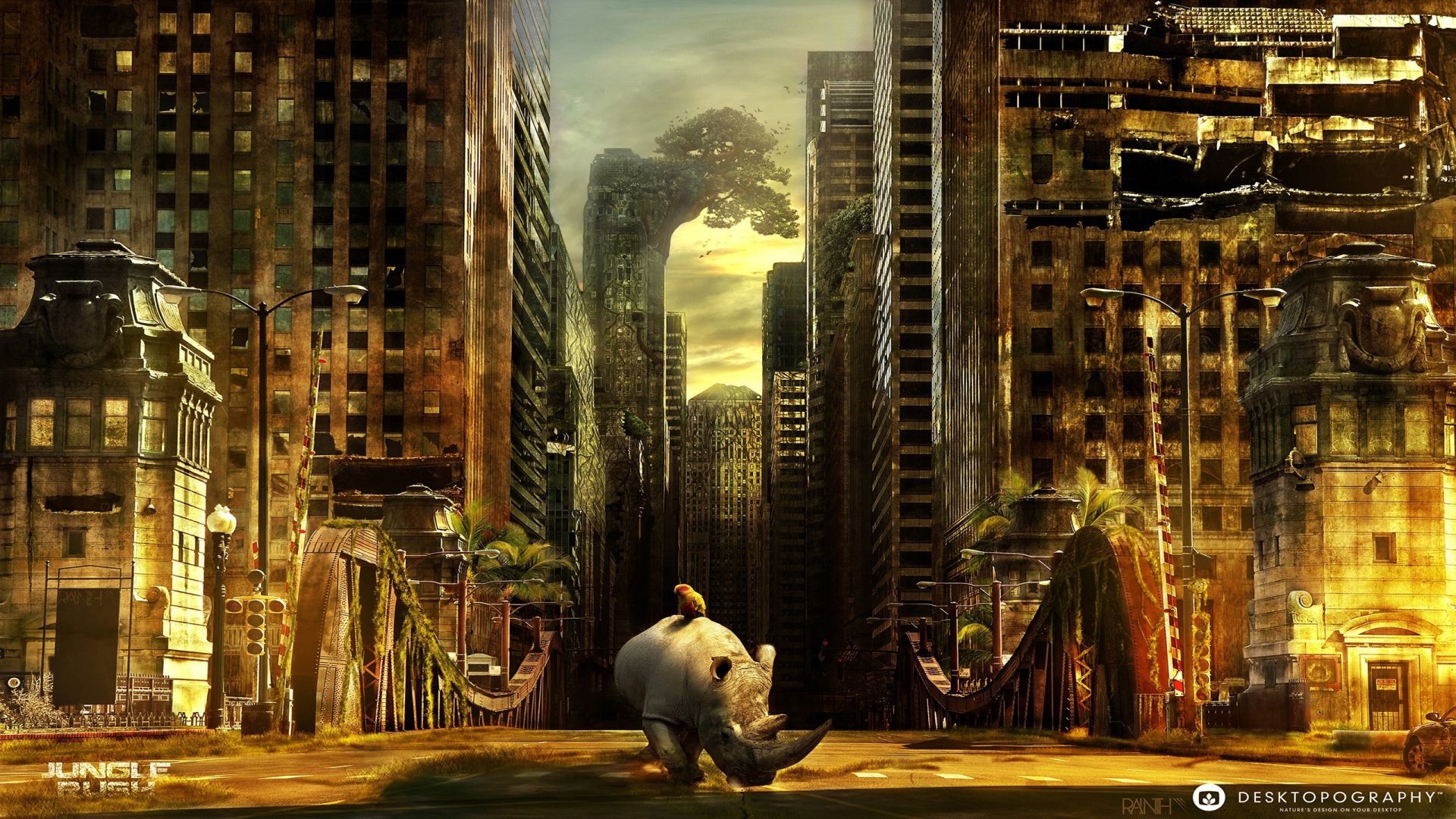 Rhino walking in the abandoned city Desktop wallpaper 1920x1080