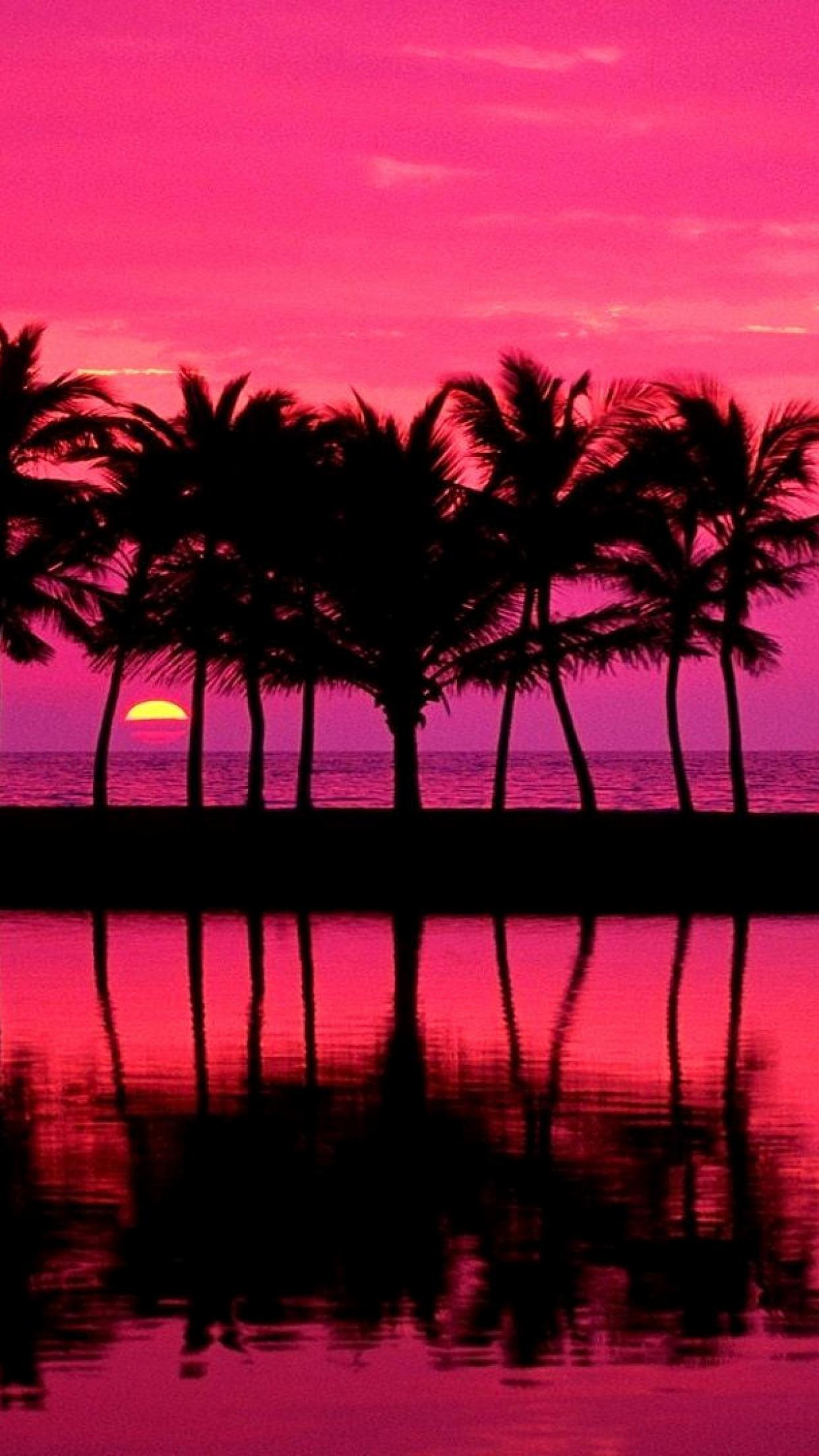 Beautiful Pink Beach Sunset