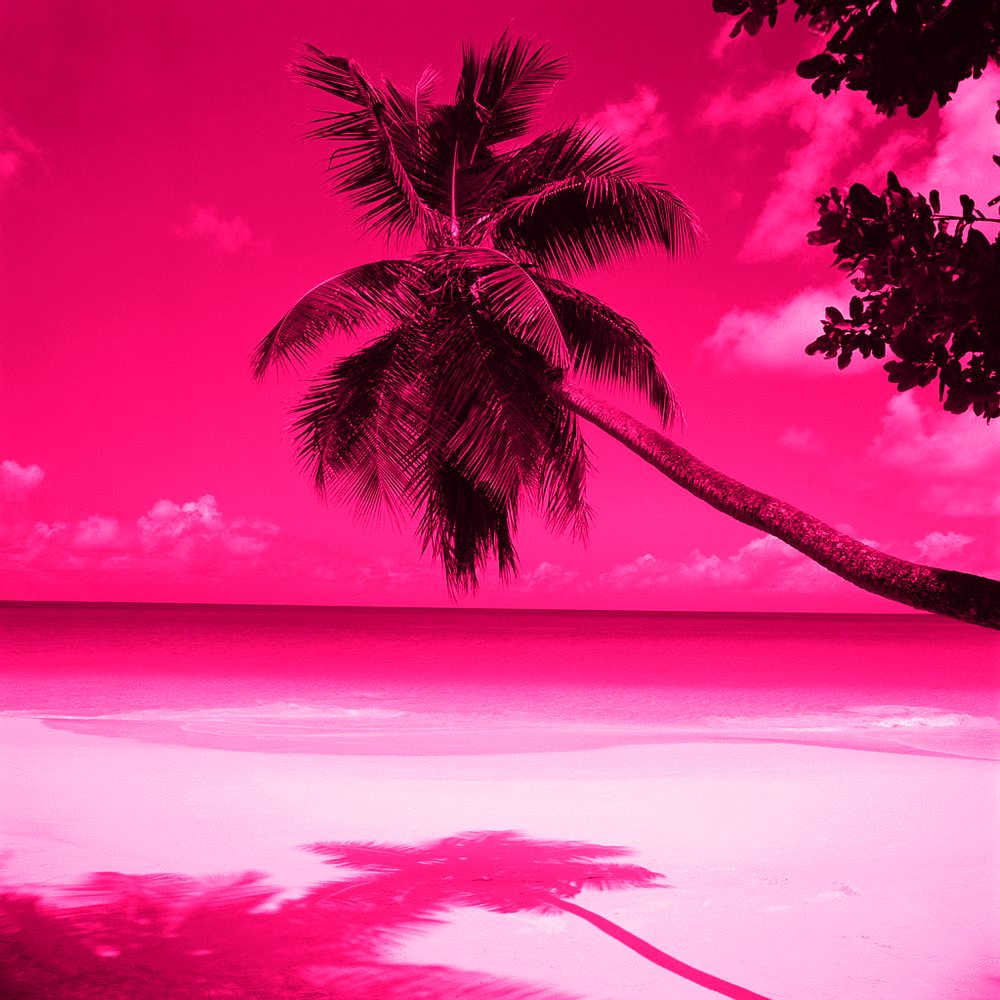 Free download Pink Beach Sunset Wallpaper Desktop Background