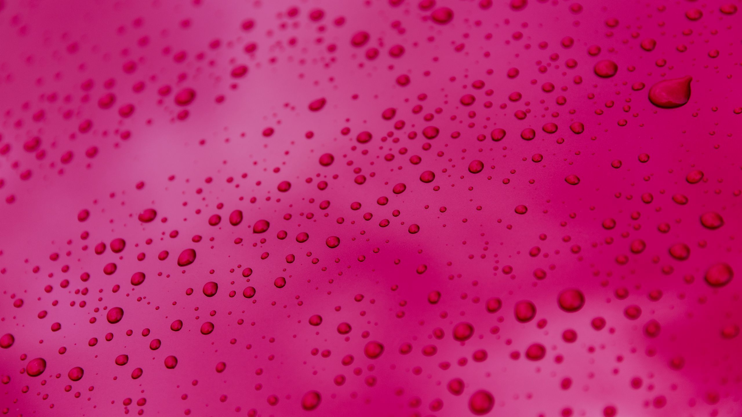 Download wallpaper 2560x1440 surface, drops, pink widescreen 16:9 HD background