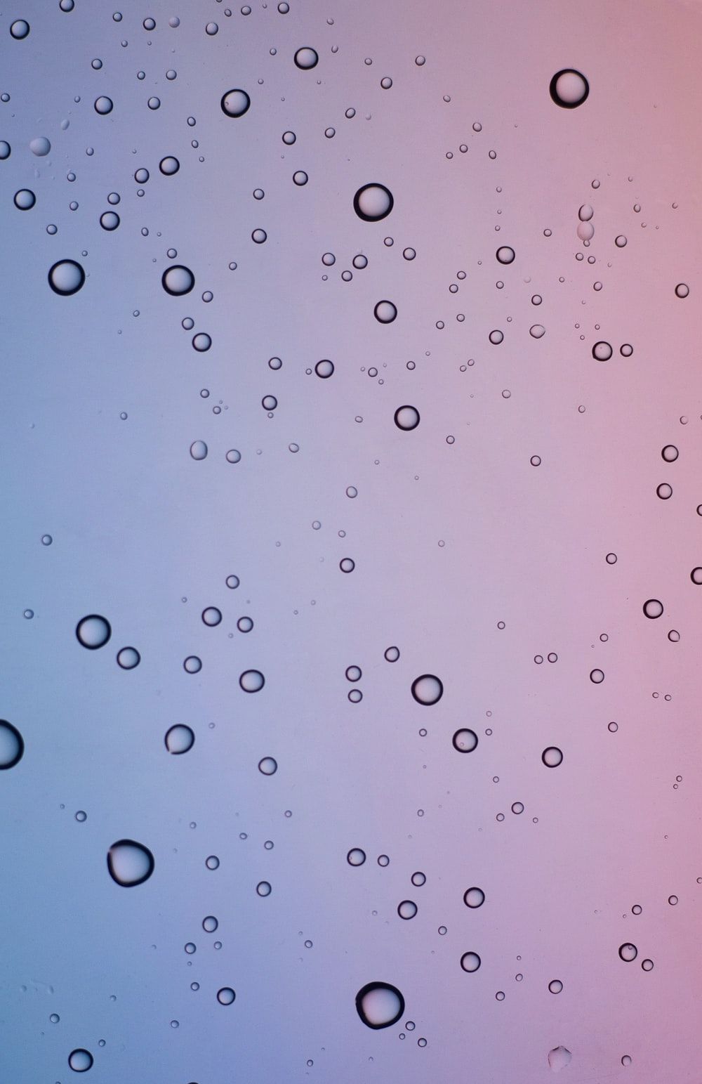 water droplets on pink surface photo