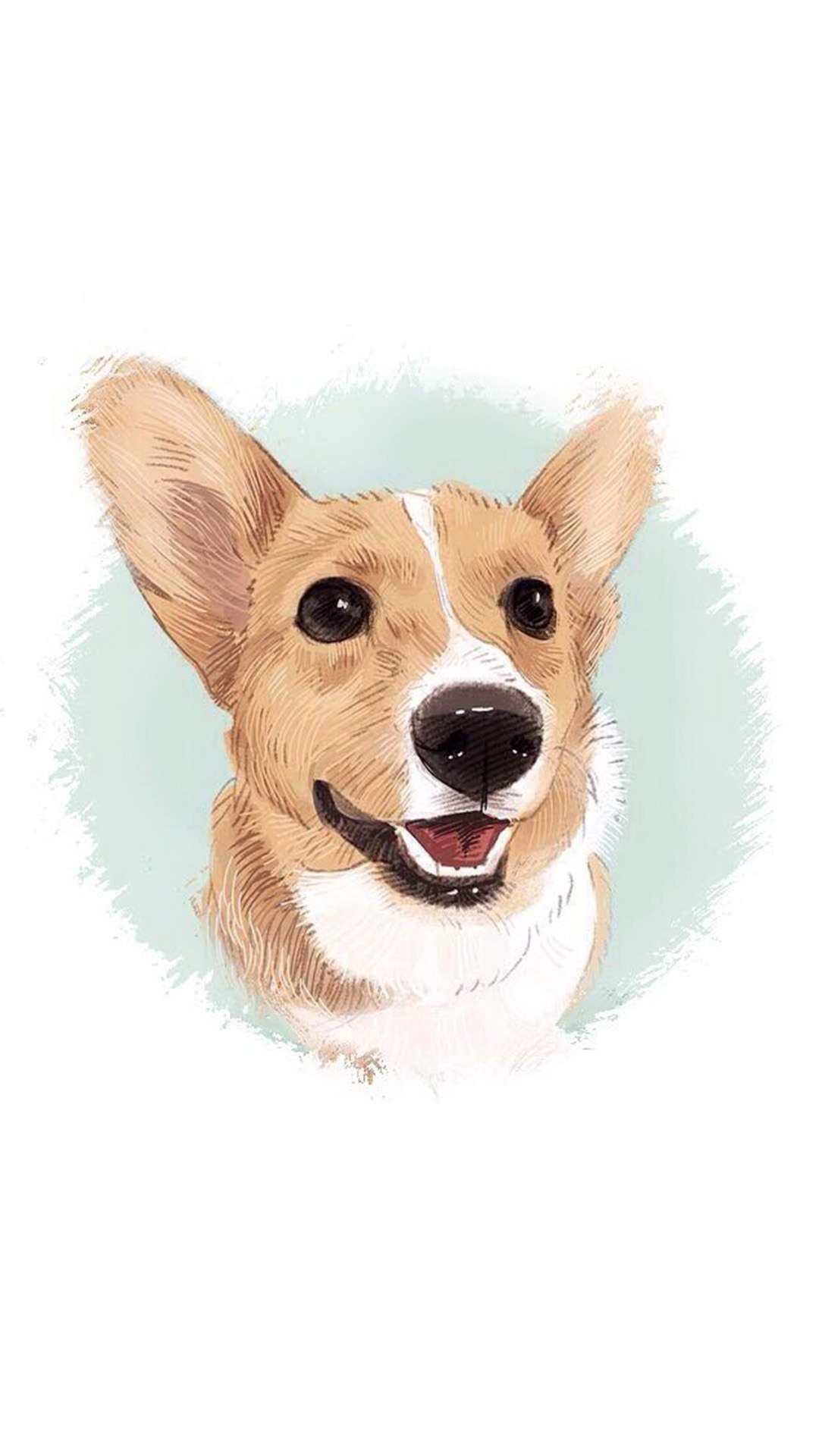 WE MISSED TEDDY SO MUCH. DID U CROSS THE BRIDGE AND DROP SOME SURPRISE FOR US. A. Corgi wallpaper, Dog wallpaper, Corgi wallpaper iphone