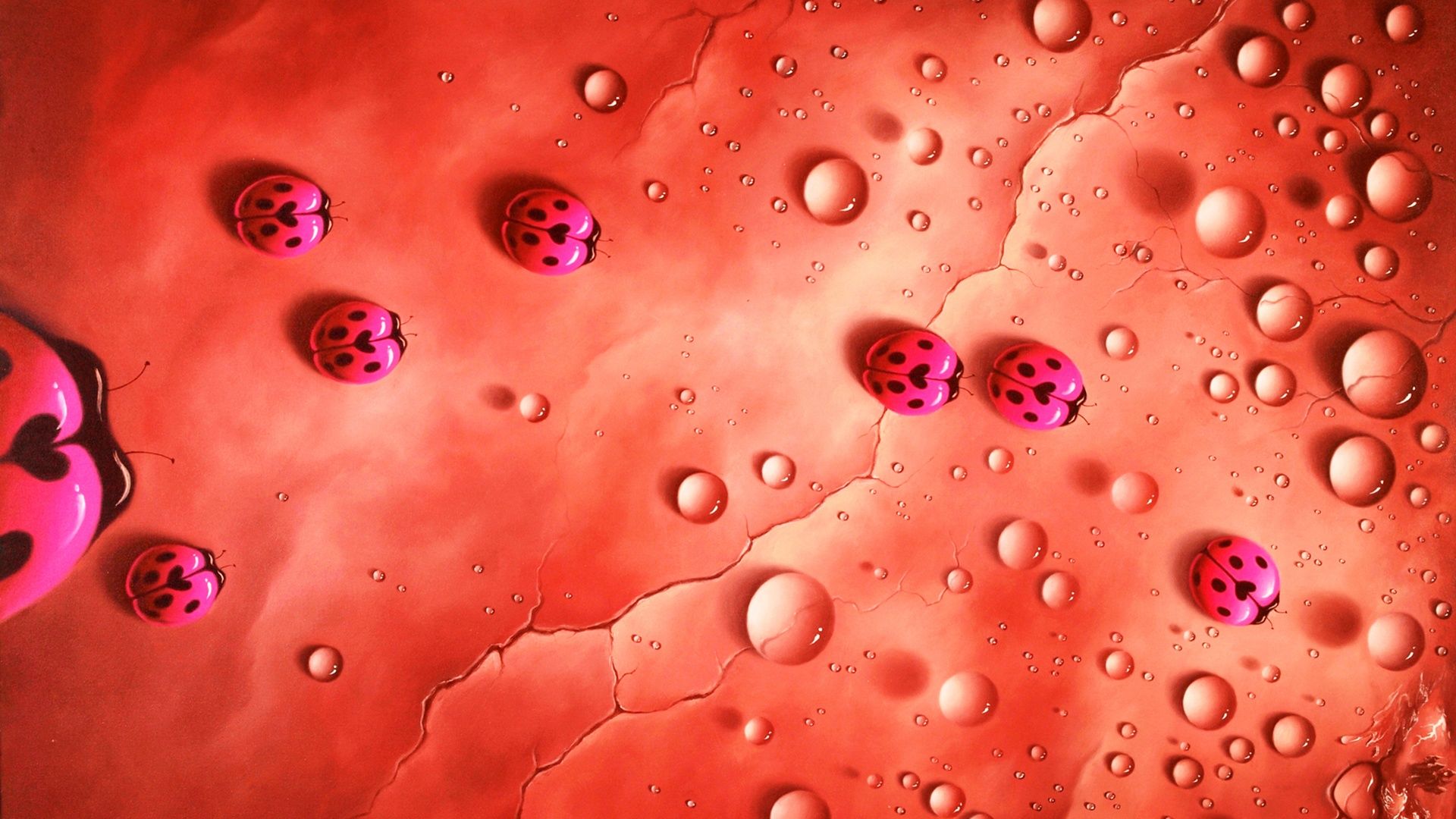 Wallpaper Creative design, water drops and ladybugs, red style 1920x1080 Full HD 2K Picture, Image