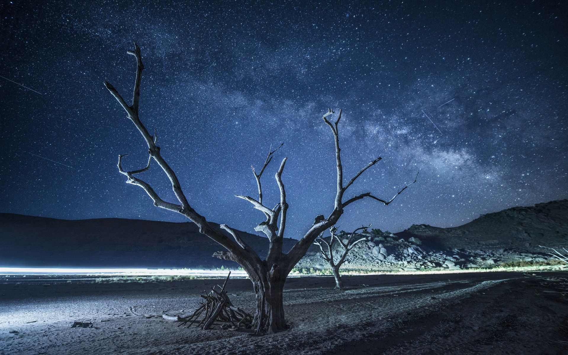 Wallpaper Dry trees, starry, night 1920x1200 HD Picture, Image