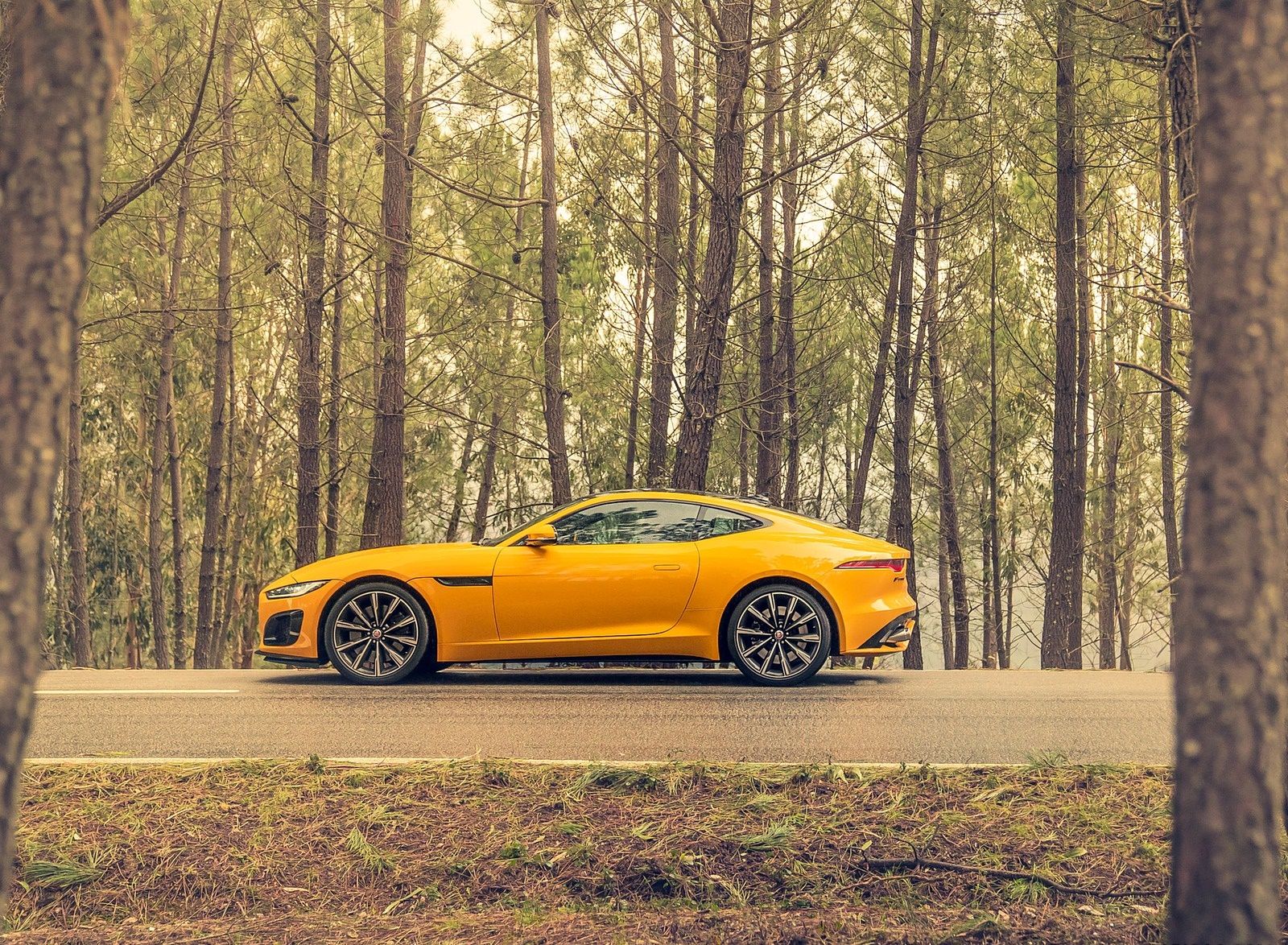 Jaguar F TYPE R Coupe AWD (Color: Sorrento Yellow) Side