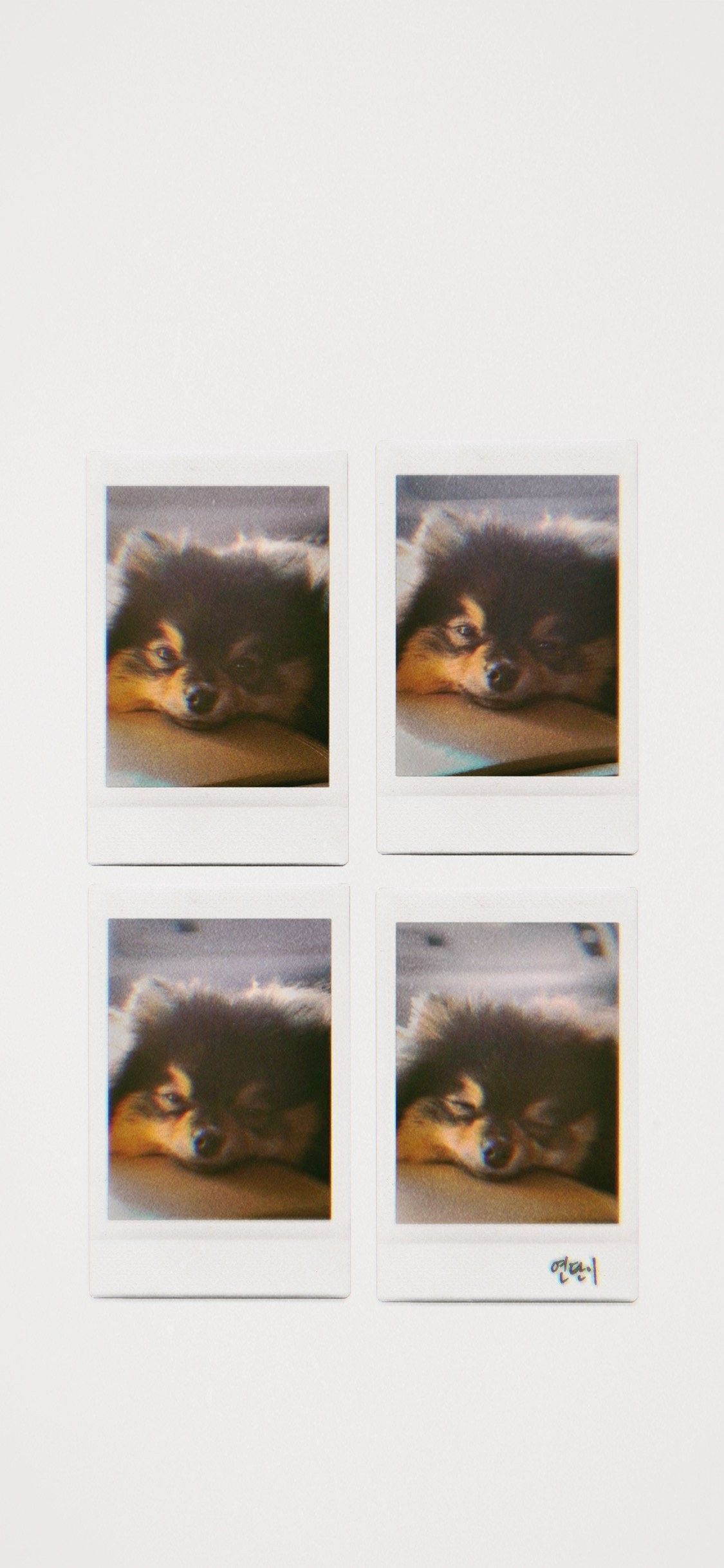 Yeontan Polaroid Wallpaper BTS. Bts wallpaper, Bts polaroid