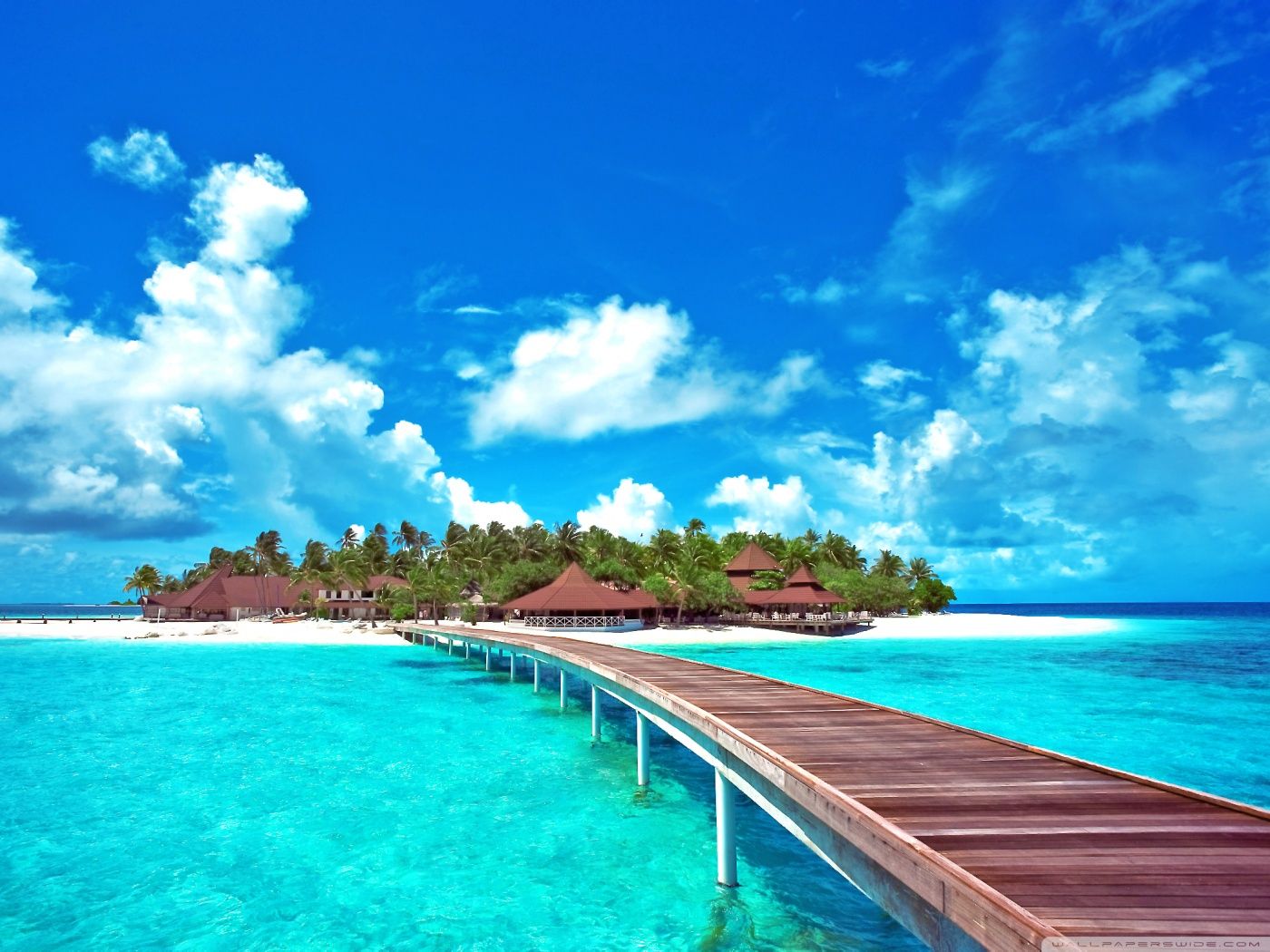 Paradise Wallpaper. Paradise Pier
