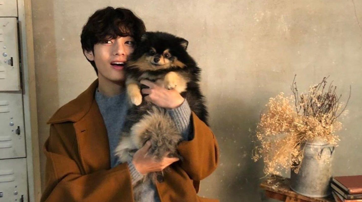 V and His Puppies Yeontan Become Models