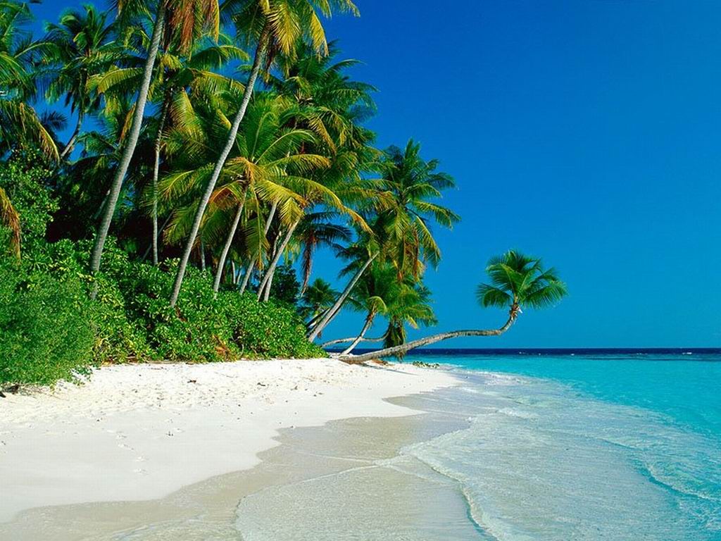 BeachX2: Paradise Island Blessing Beach Wallpaper