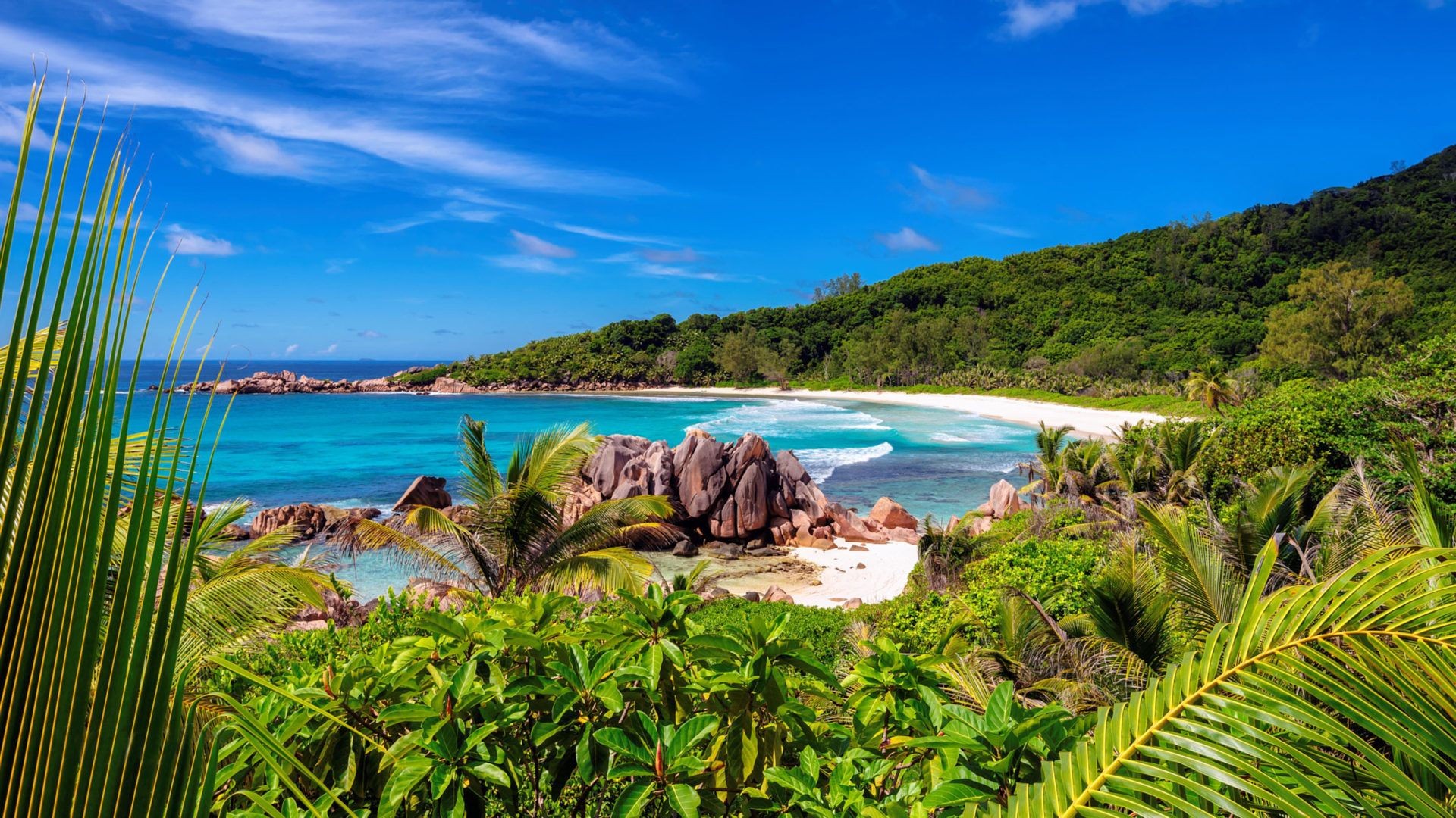 Anse Coco Beach On Paradise Island La Digue Island Seychelles 4k