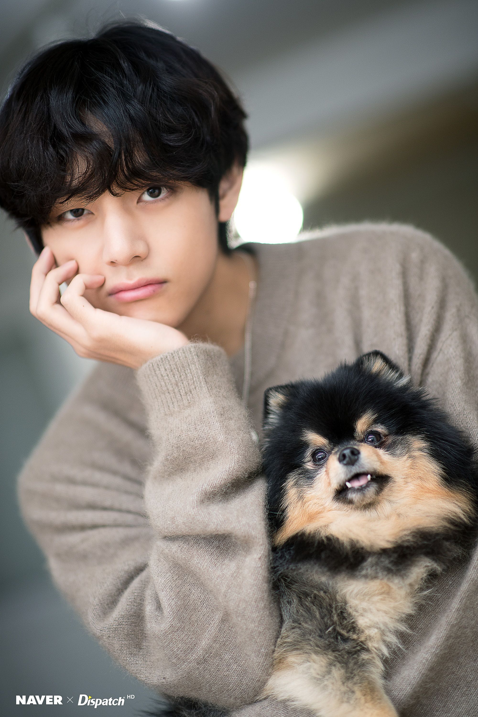 BTS's V and his dog Yeontan Birthday photohoot