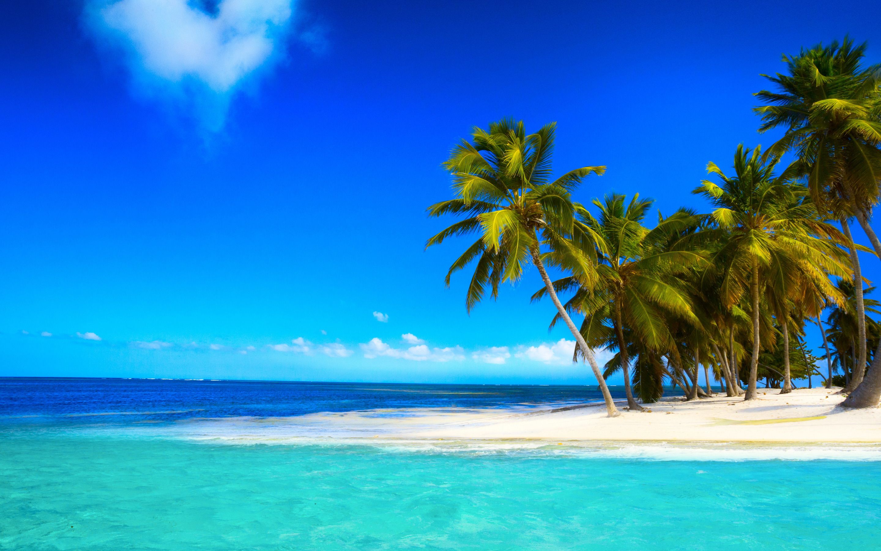 Download wallpaper Paradise island, ocean, luxury beach, palm