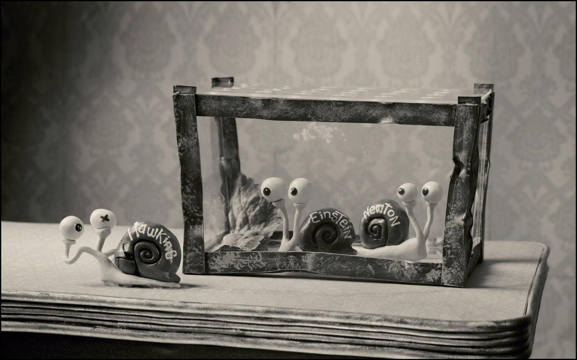 Mary and Max HD Wallpaper and Background Image