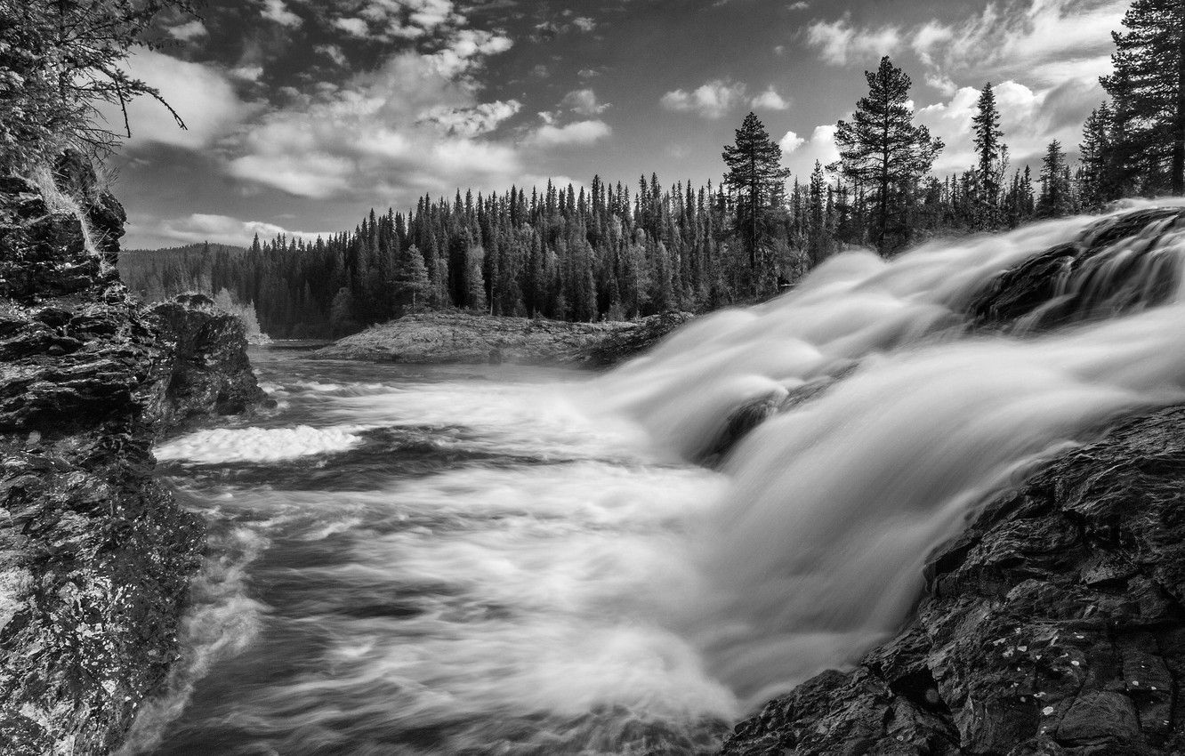 Wallpaper forest, waterfall, black and white, stream, Sweden