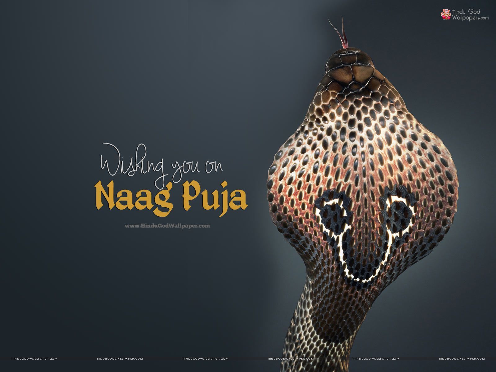 Naga Panchami Wallpapers - Wallpaper Cave