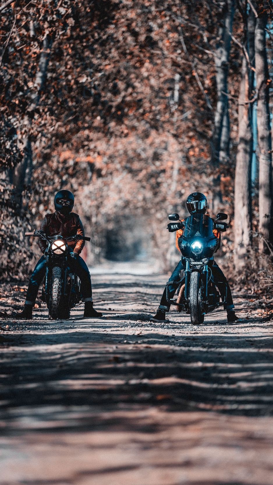 Motorcyclists, bikers, bike, motorcycle, forest