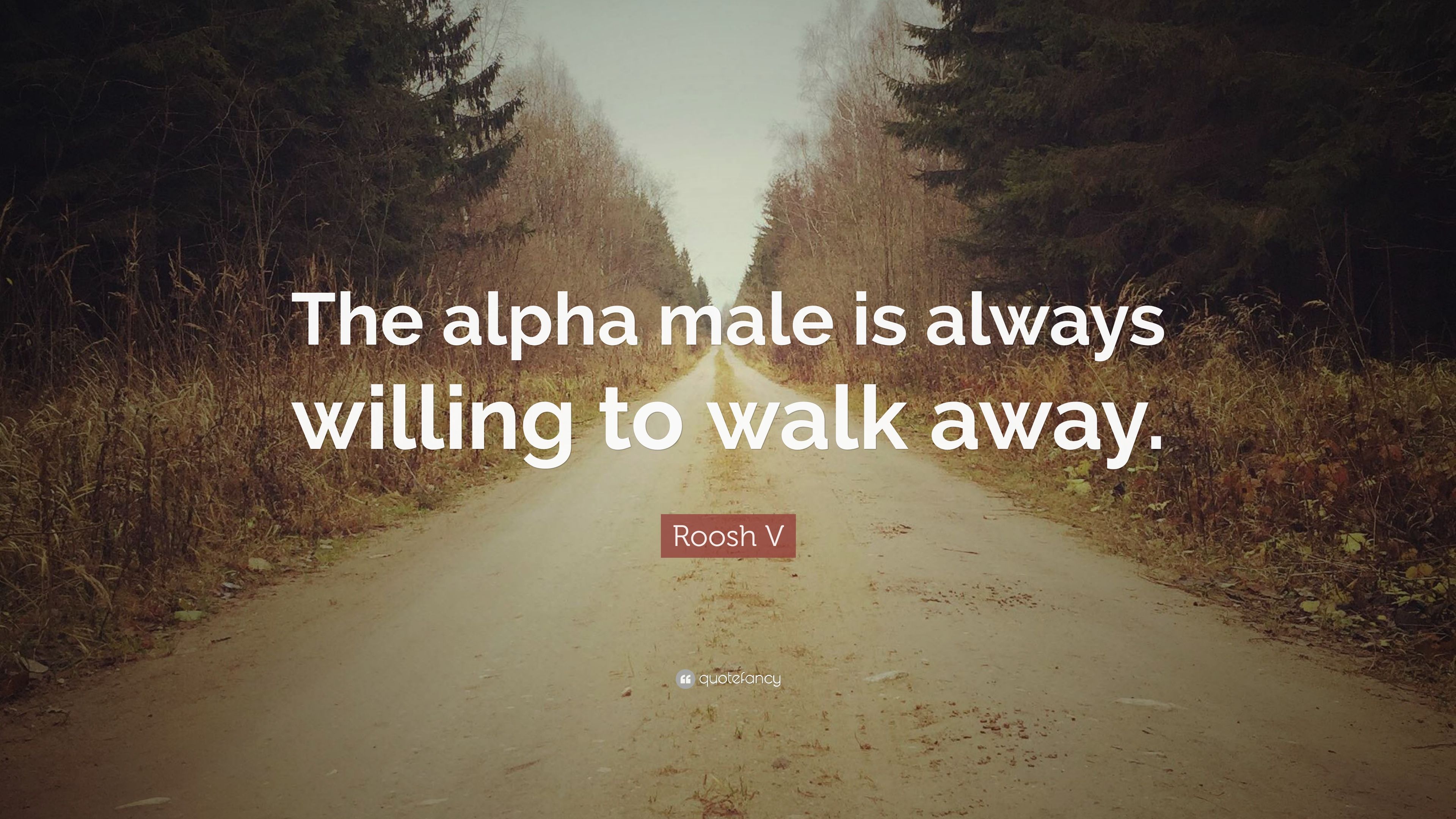 Roosh V Quote: “The alpha male is always willing to walk away.” 7