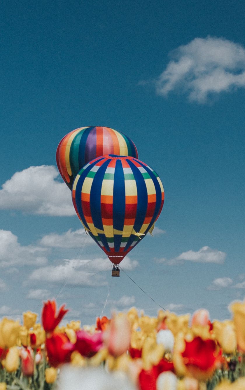 Download 840x1336 Wallpaper Hot Air Balloons, White Red Yellow