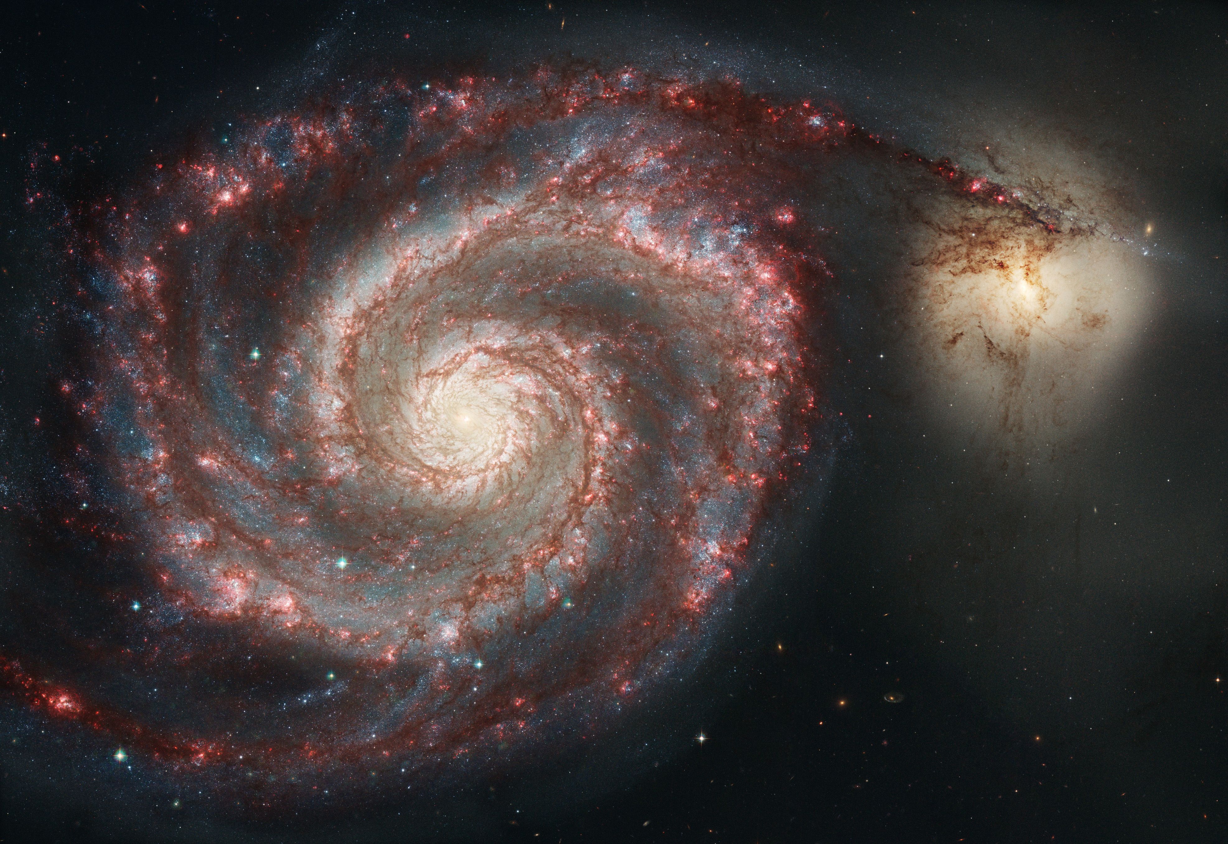 image of the whirlpool galaxy