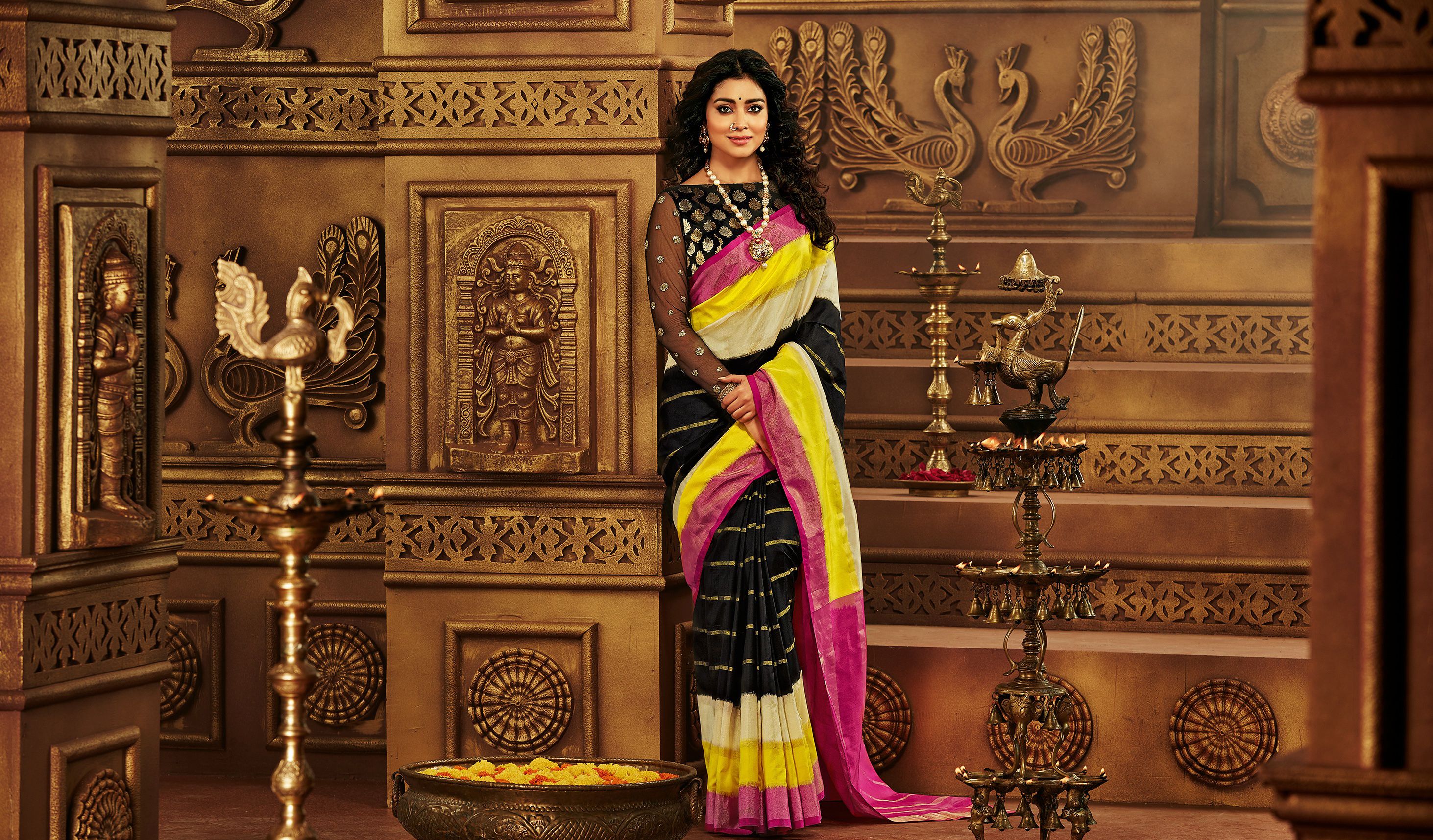 Wallpaper Shriya Saran, Actress, Saree, Ethnic wear, Traditional
