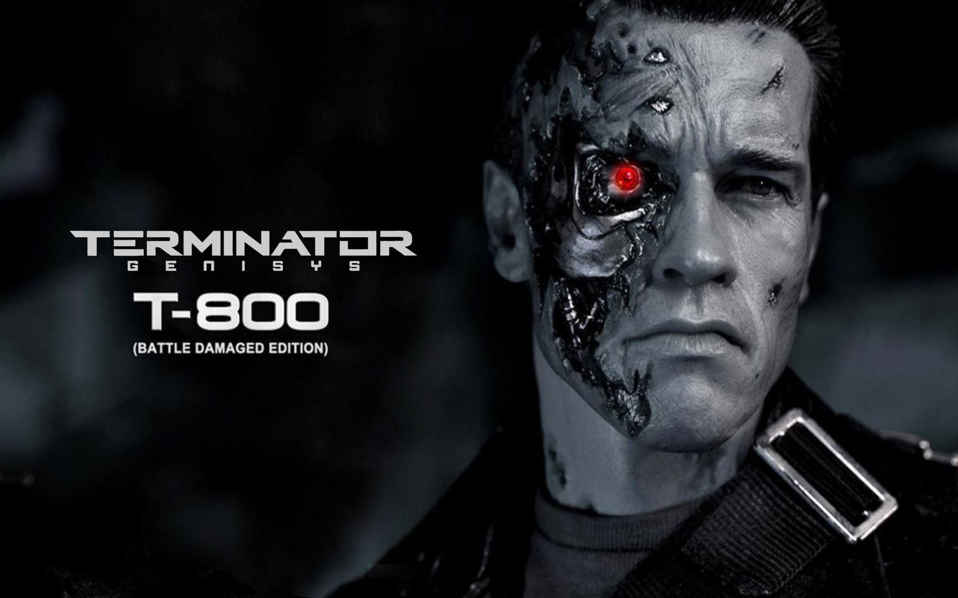 Arnold Terminator T800 Wallpaper terminator t800