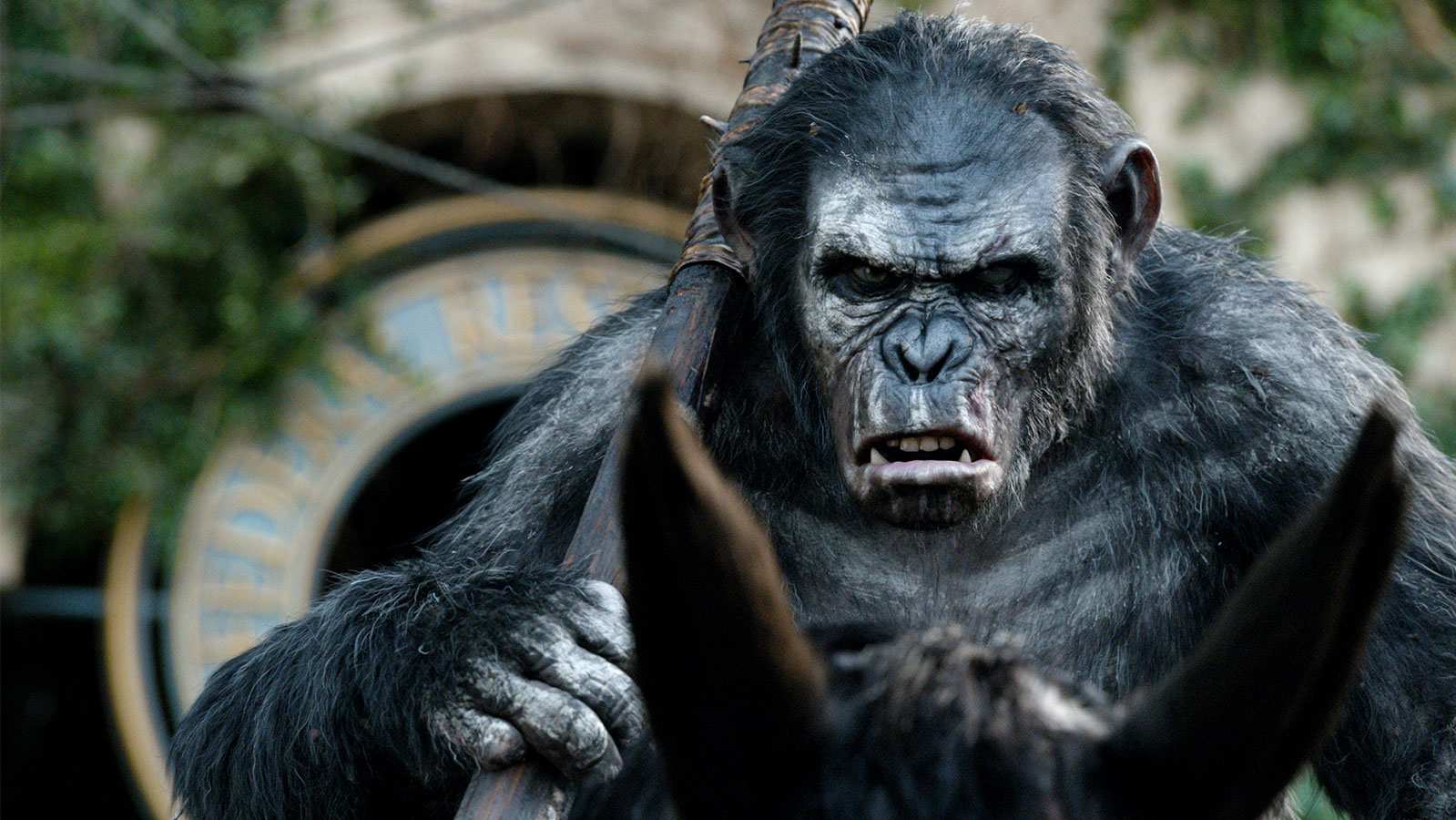 War for the Planet of the Apes: Is Koba Dead?