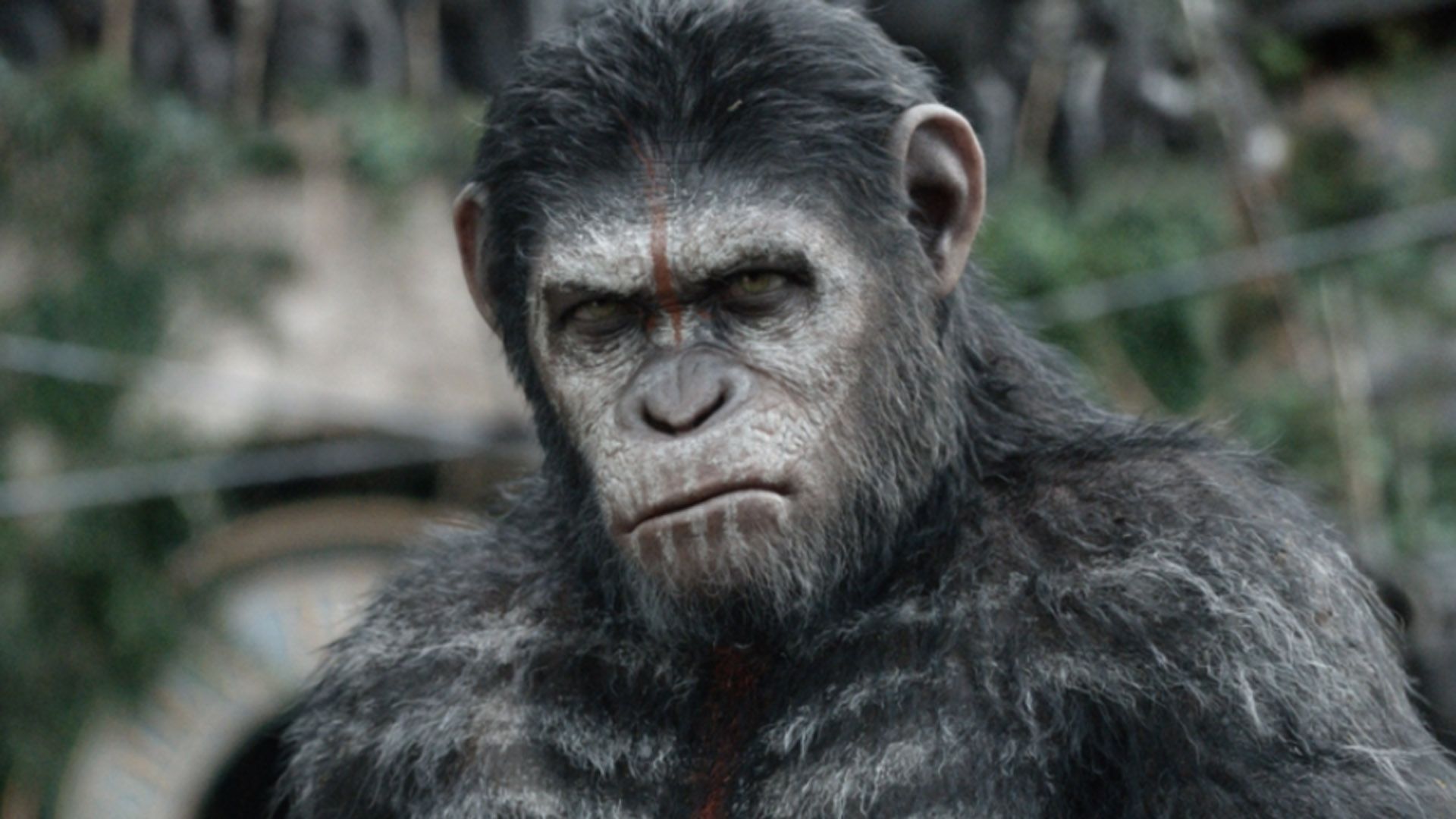 Watch: 'Planet of the Apes' Short Films Document Gap Between 'Rise