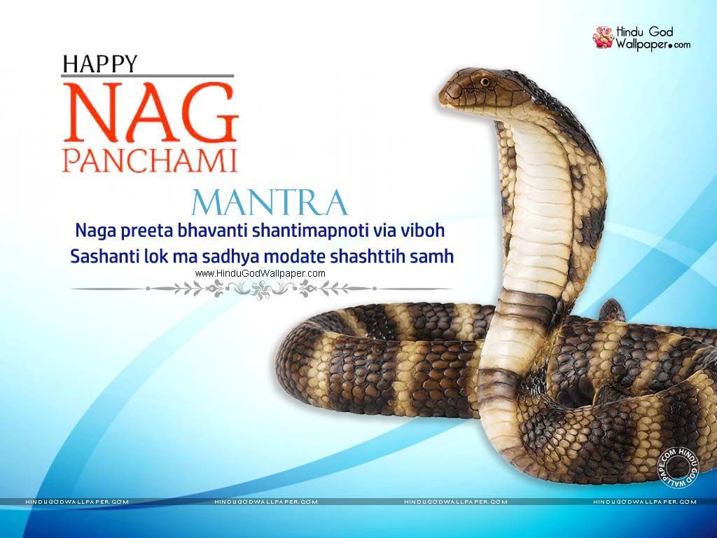 Nag Panchami 2023 Images and HD Wallpapers for Free Download Online: Wish  Happy Nag Panchami With WhatsApp Messages, SMS and Greetings | 🙏🏻 LatestLY